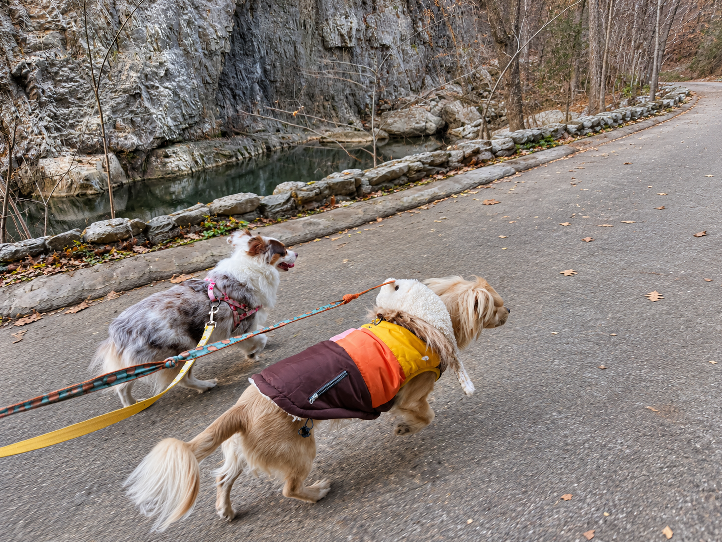 Archie and Saydie walking on a paved trail beside Cedar Creek at Natural Bridge State Park.