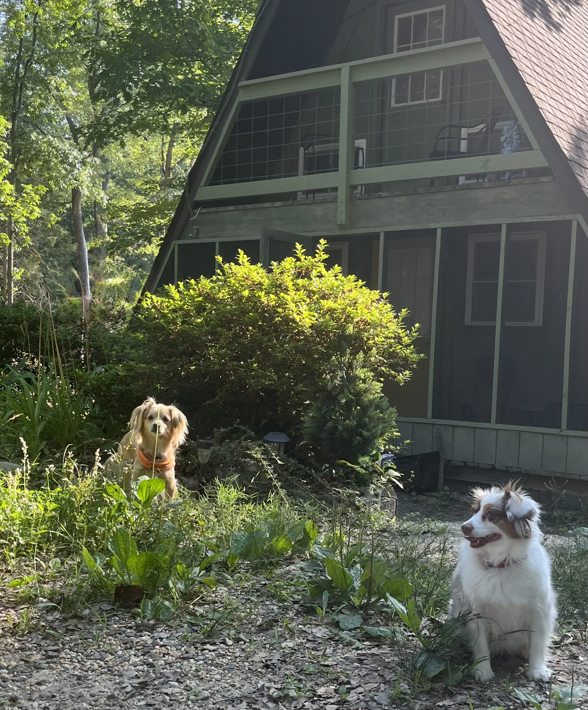 Colonial Beach &amp; Virginia’s Northern Neck
