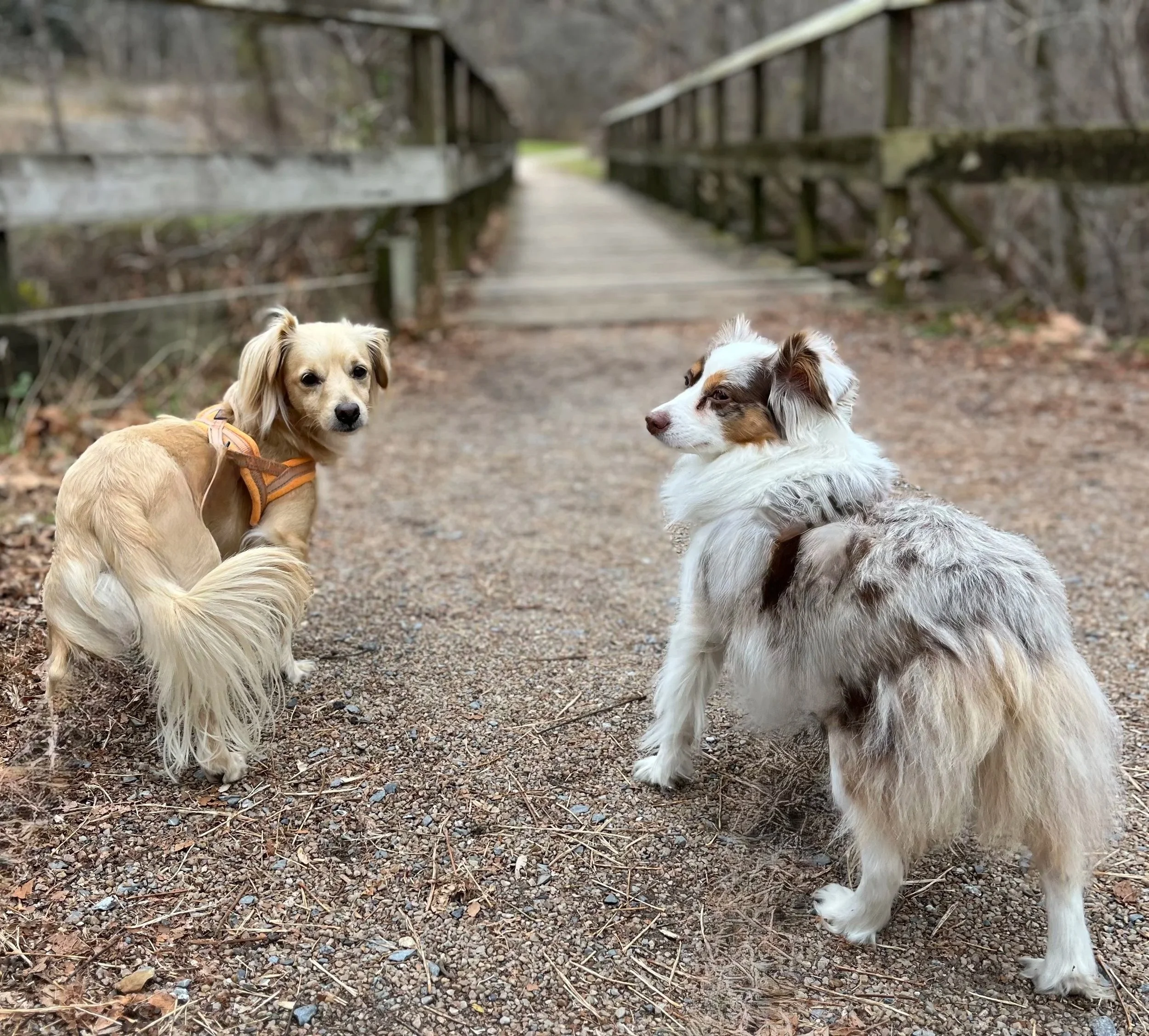 Lexington, VA: Historic Charm &amp; Valley Views