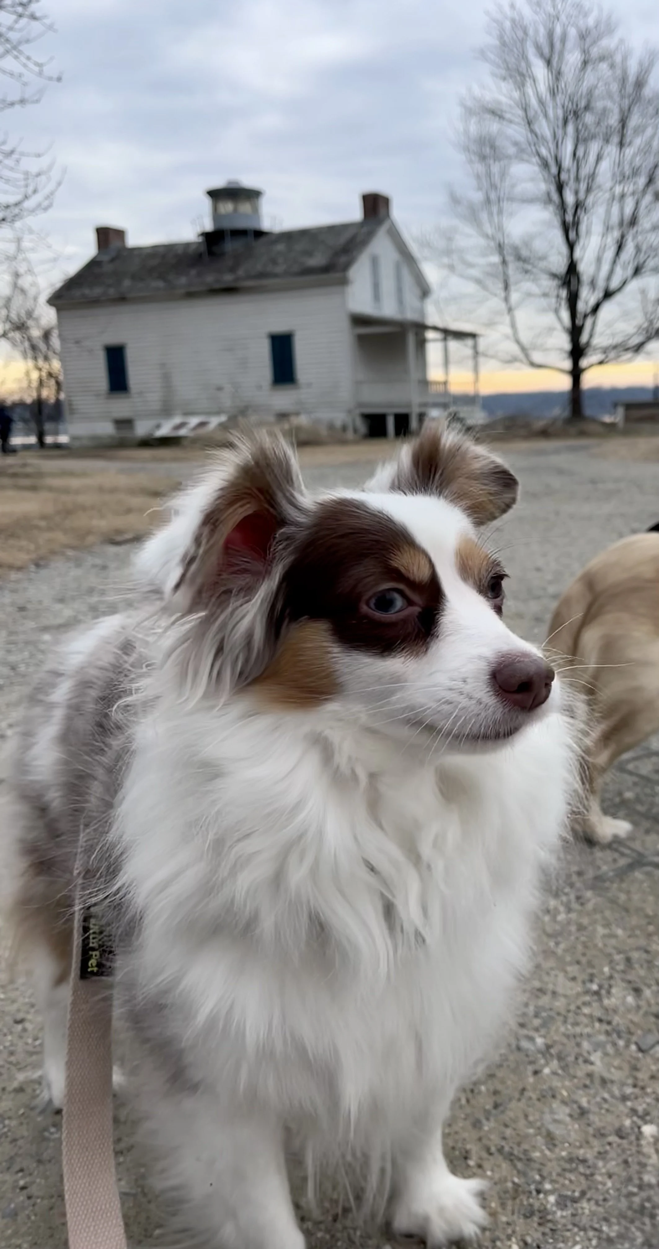 Along the River at Jones Point Park