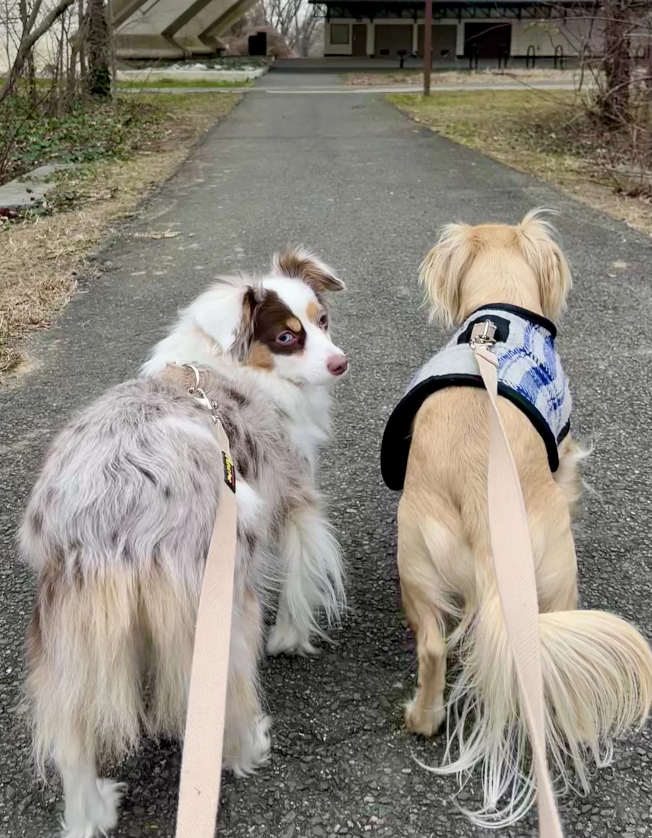 Why Familiar Walks Matter