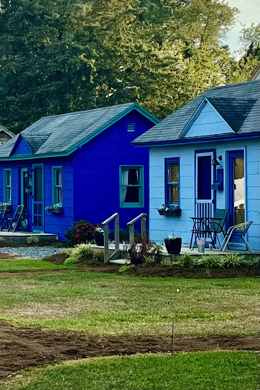 Pet-Friendly Hotels vs Vacation Rentals: How to Choose the Right Fit for Your Dog