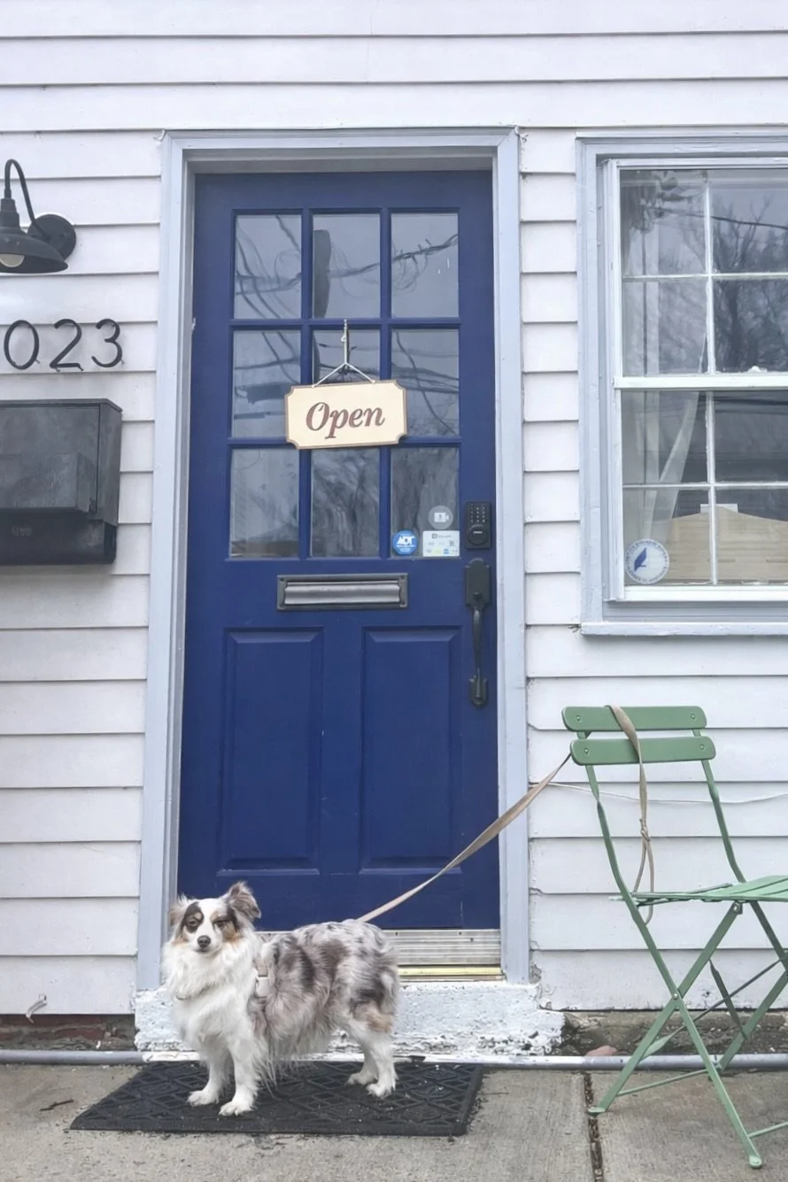 The Cookie Circuit: How Small Dogs Map Certain Streets in Old Town Alexandria