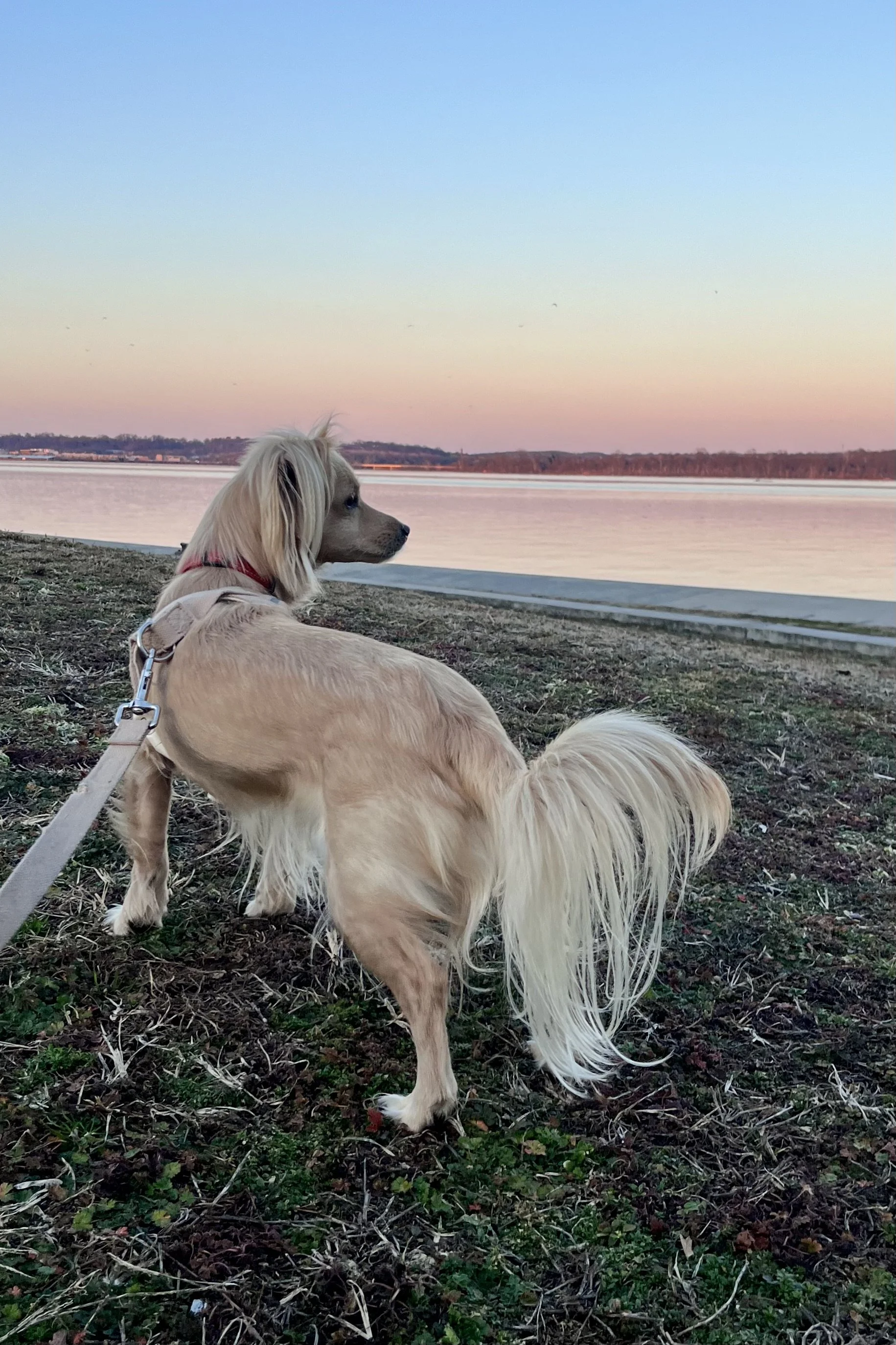 Best Sunset Spots in Old Town Alexandria, Virginia