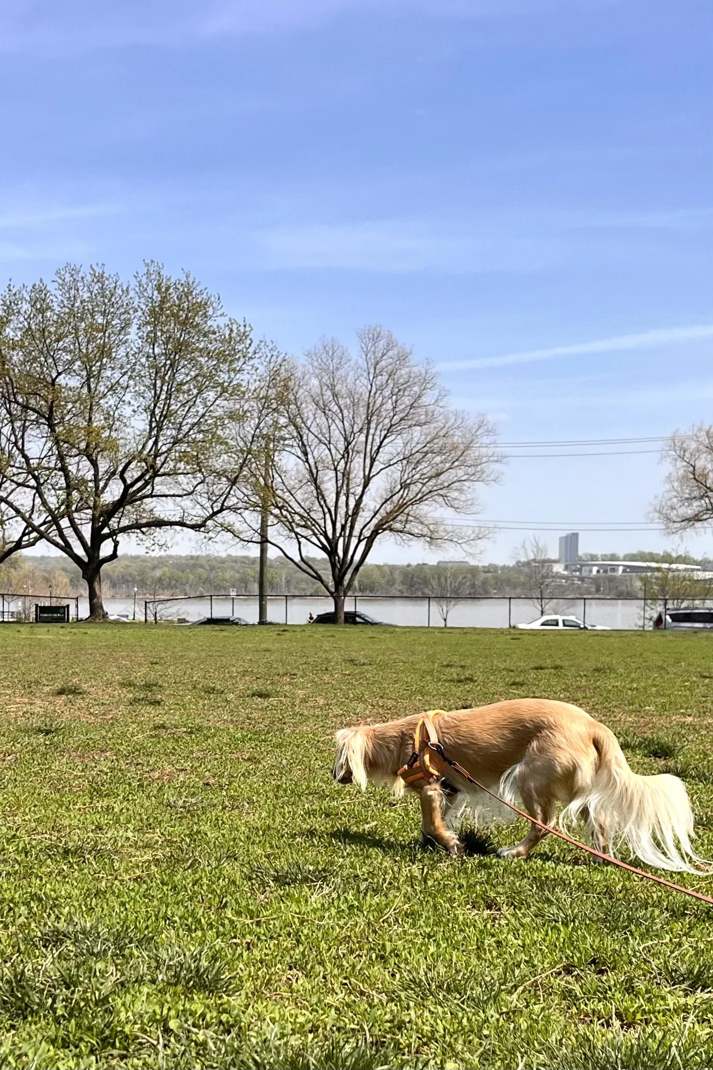 Short, Calm Walk Loops in Old Town Alexandria (10–20 Minute Routes)