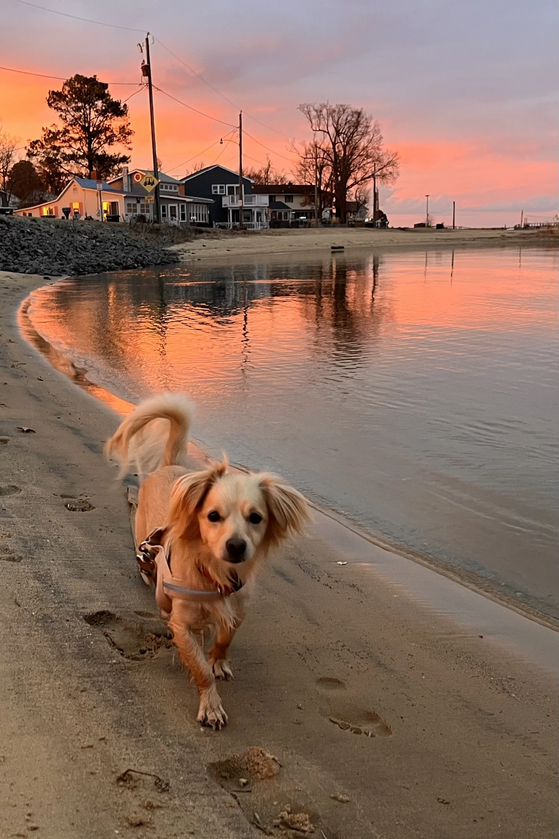 Best Sunset Spots in Old Town Alexandria (Quiet Waterfront Views)