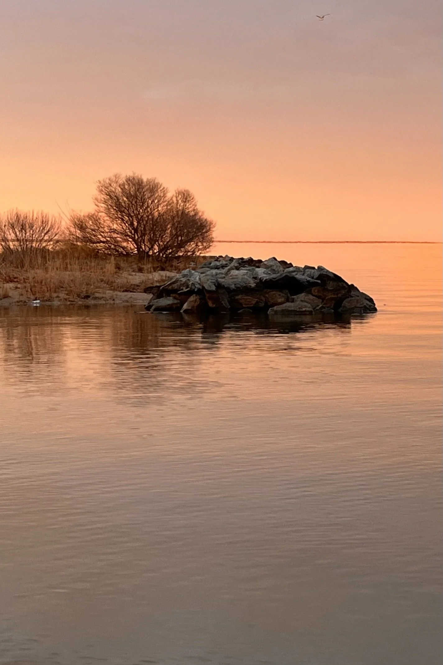 5 Places Near Old Town Alexandria That Feel Surprisingly Far Away 