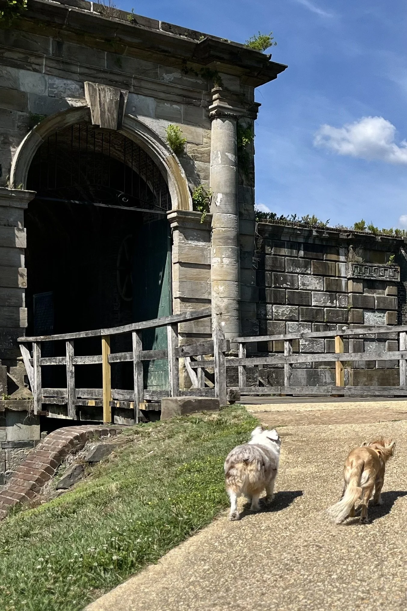 Fort Washington Park With Dogs: Exploring Historic Grounds Above the Potomac