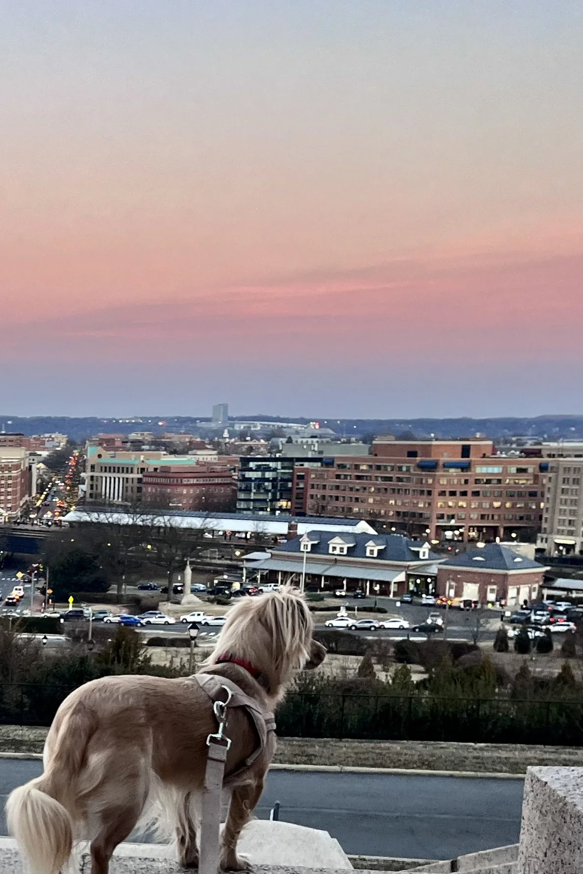 7 Best Sunset Spots in Old Town Alexandria (Local Favorites)