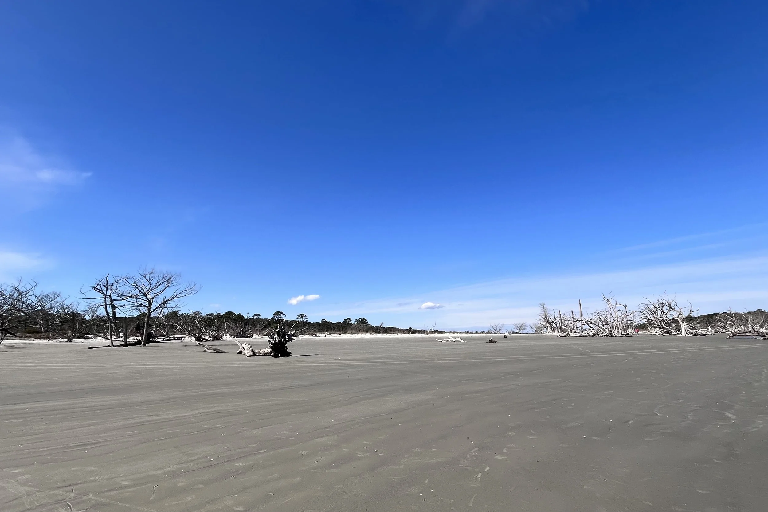 Wide, open view of Driftwood Beach with flat sand, scattered driftwood, and a broad blue sky stretching across the horizon.