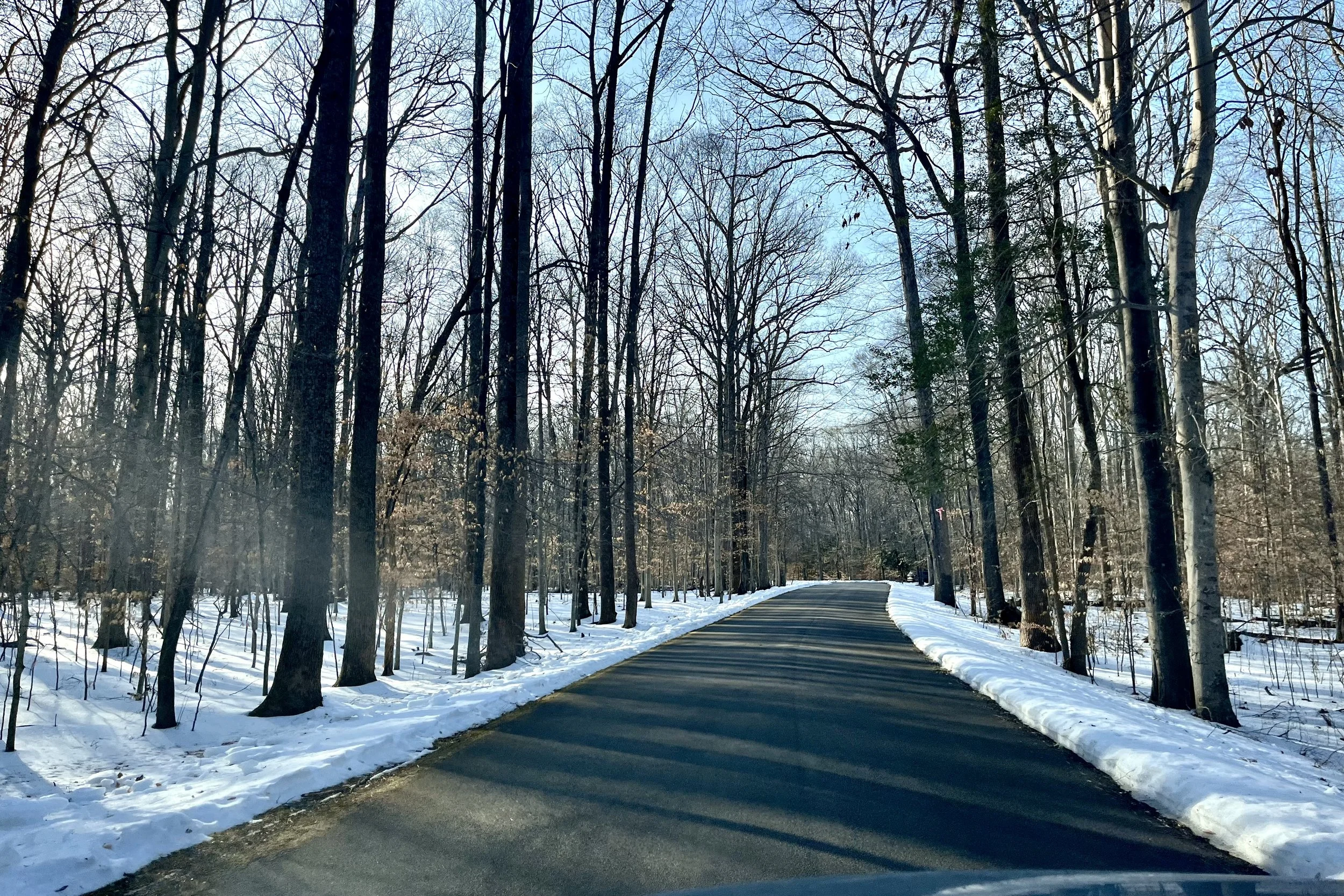 Snow lining a long paved road through a bare winter forest at Mason Neck State Park in Lorton, Virginia.