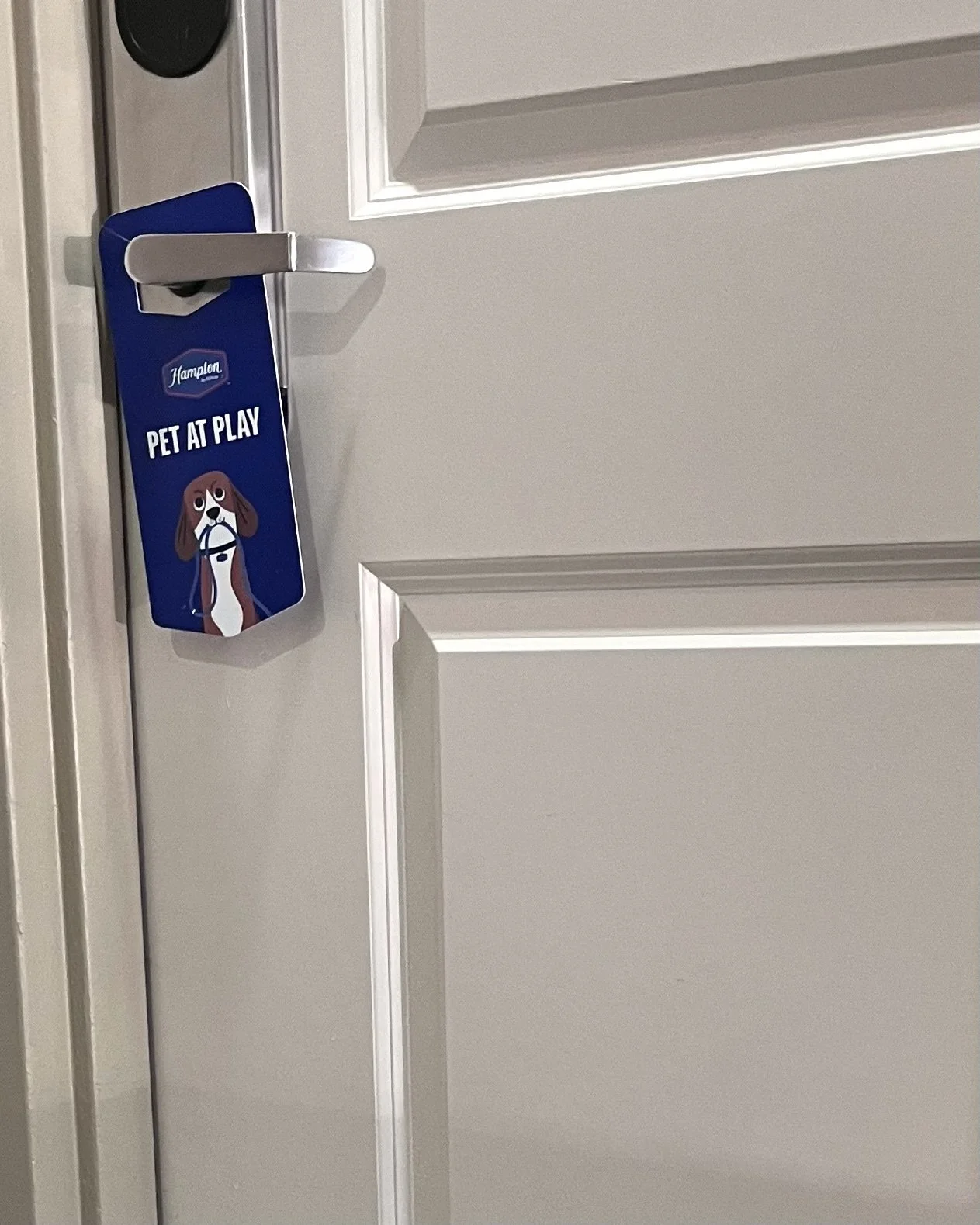 Close-up of a hotel room door with a blue “Pet at Play” sign hanging from the handle.