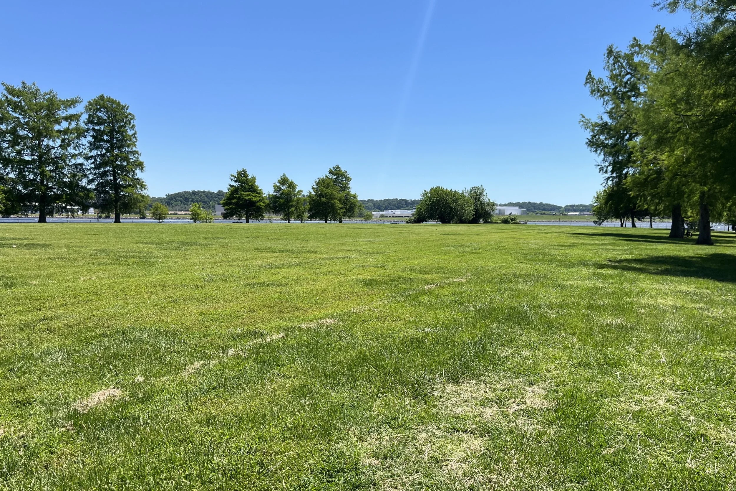 Large open grassy field at Hains Point in Washington, DC, with waterfront views, trees, and wide open space under a bright blue sky.