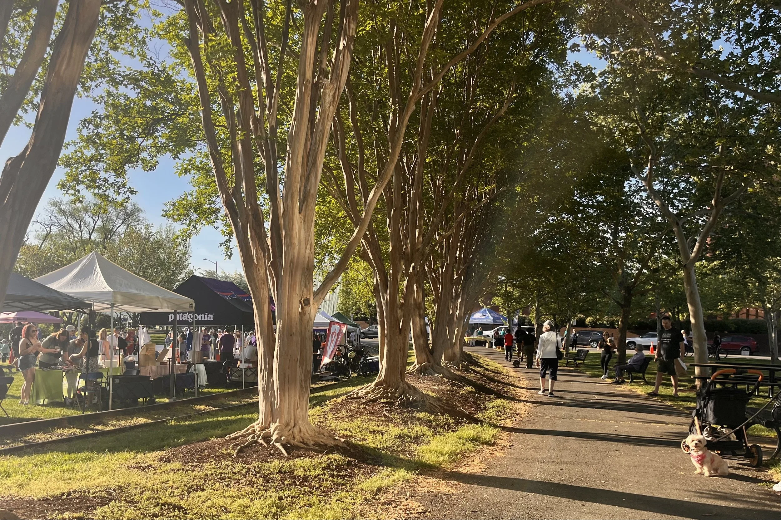 Busy walkway at Oronoco Bay Park with vendor tents, people walking, and a small dog near the path