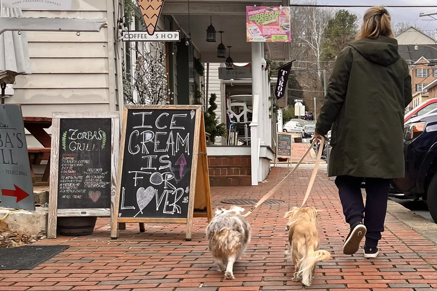 Two small dogs walking along a brick sidewalk in Occoquan, Virginia during a dog-friendly day trip from Alexandria
