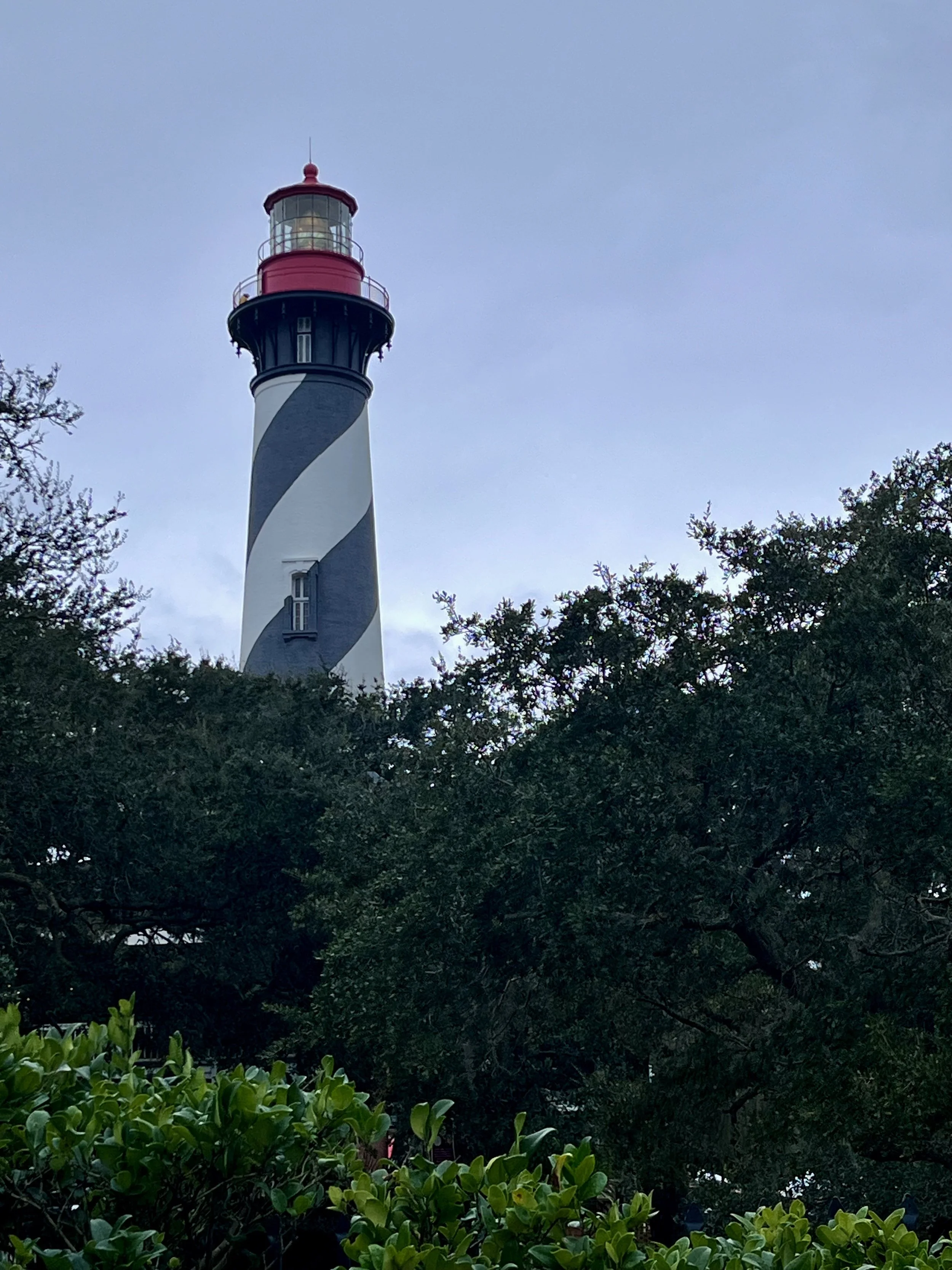 Lighthouse visible above tree canopy in St. Augustine, Florida.