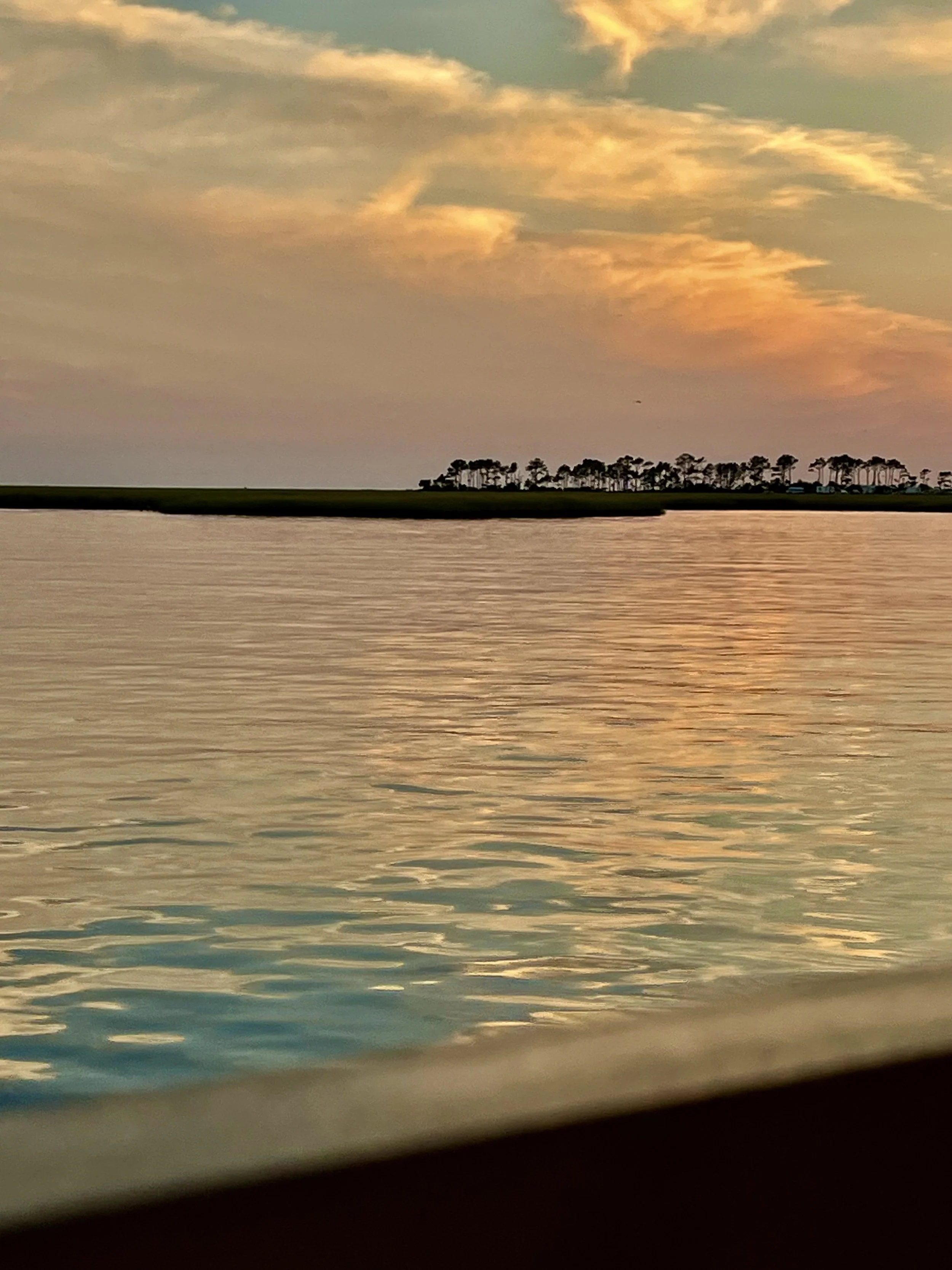 Calm water at sunset with soft clouds reflecting gold and pink tones, and a low tree-lined shoreline in the distance.