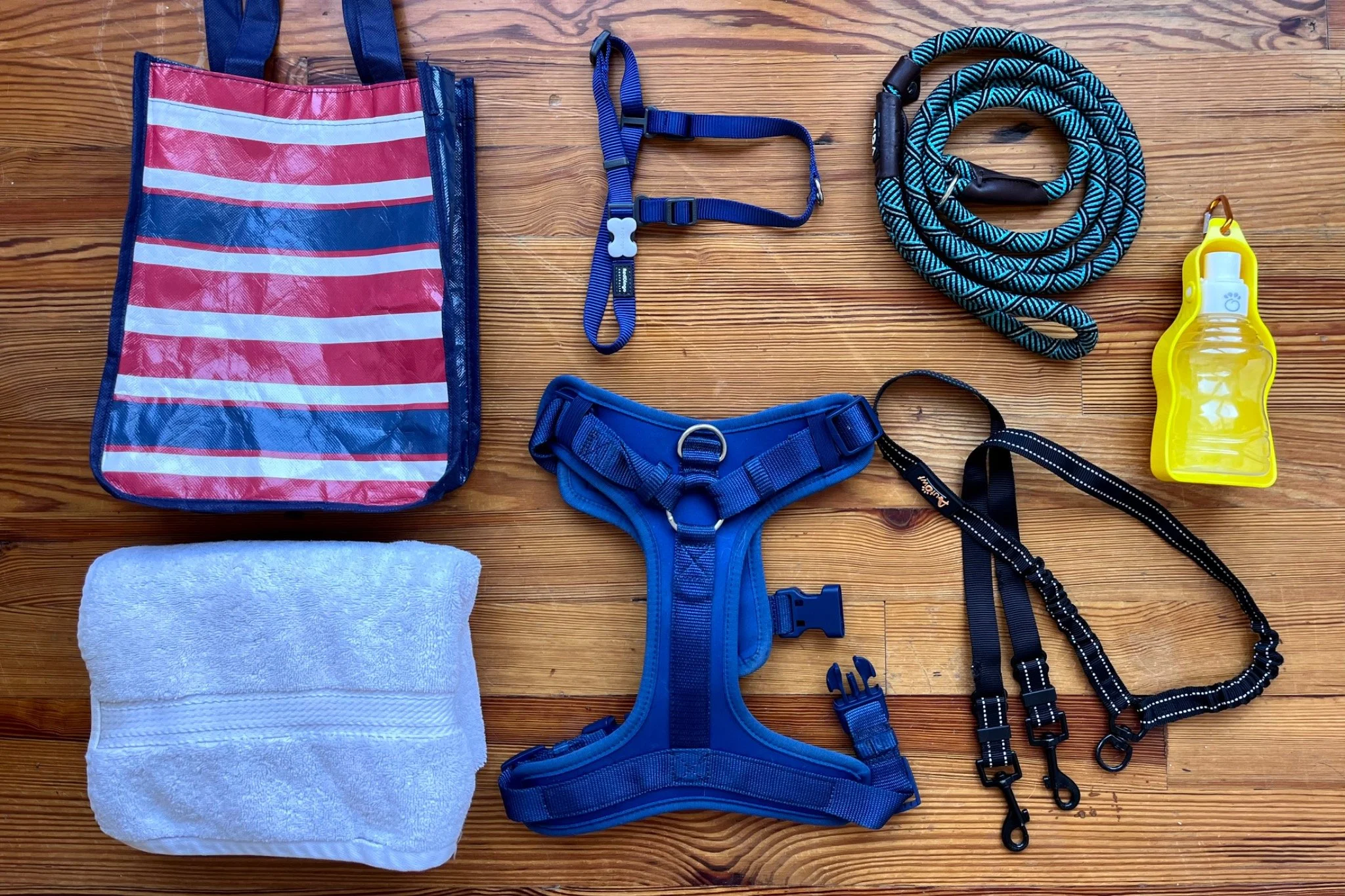 Back seat prepared for dog travel with harness, seat cover, and safety setup arranged before departure.