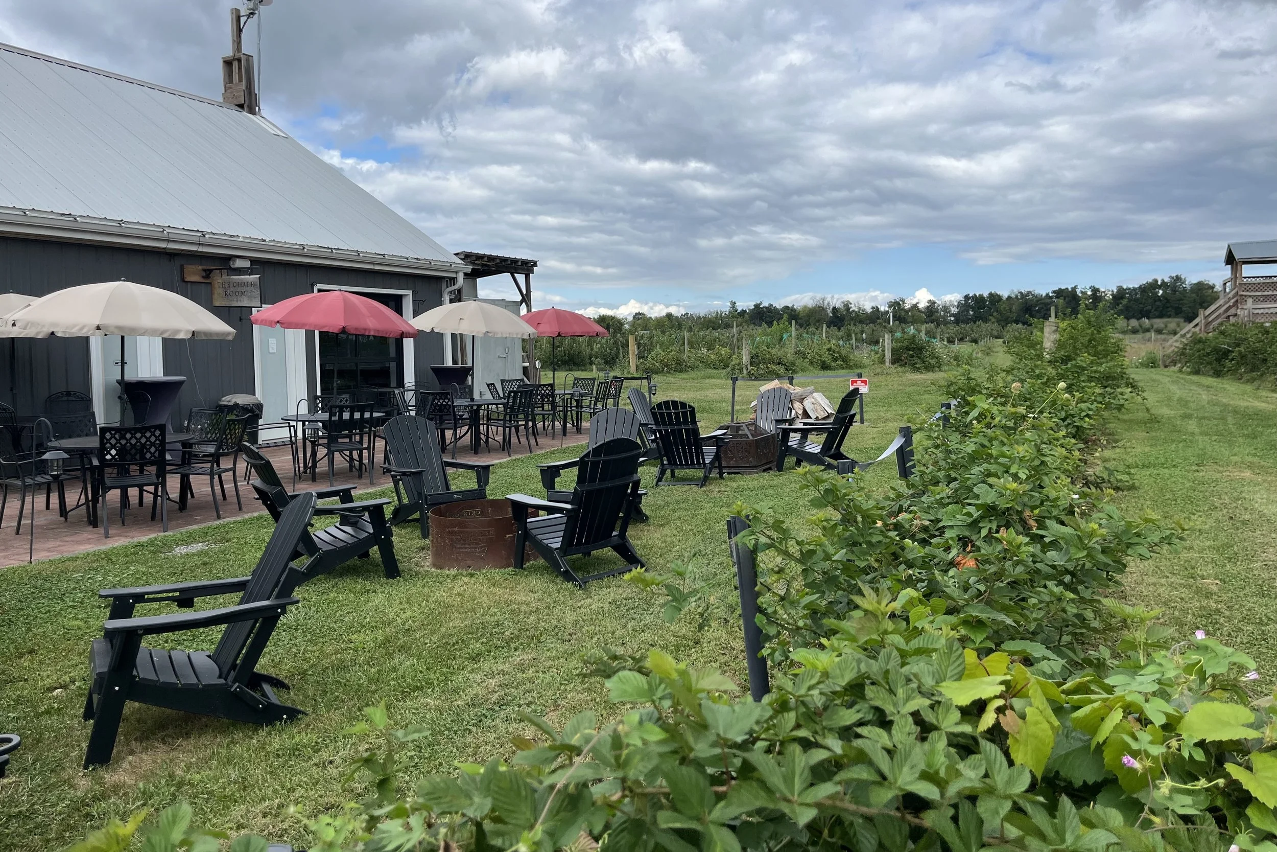 Outdoor tables, chairs and orchard beside the farm stand at Mackintosh Fruit Farm in Berryville, Virginia.