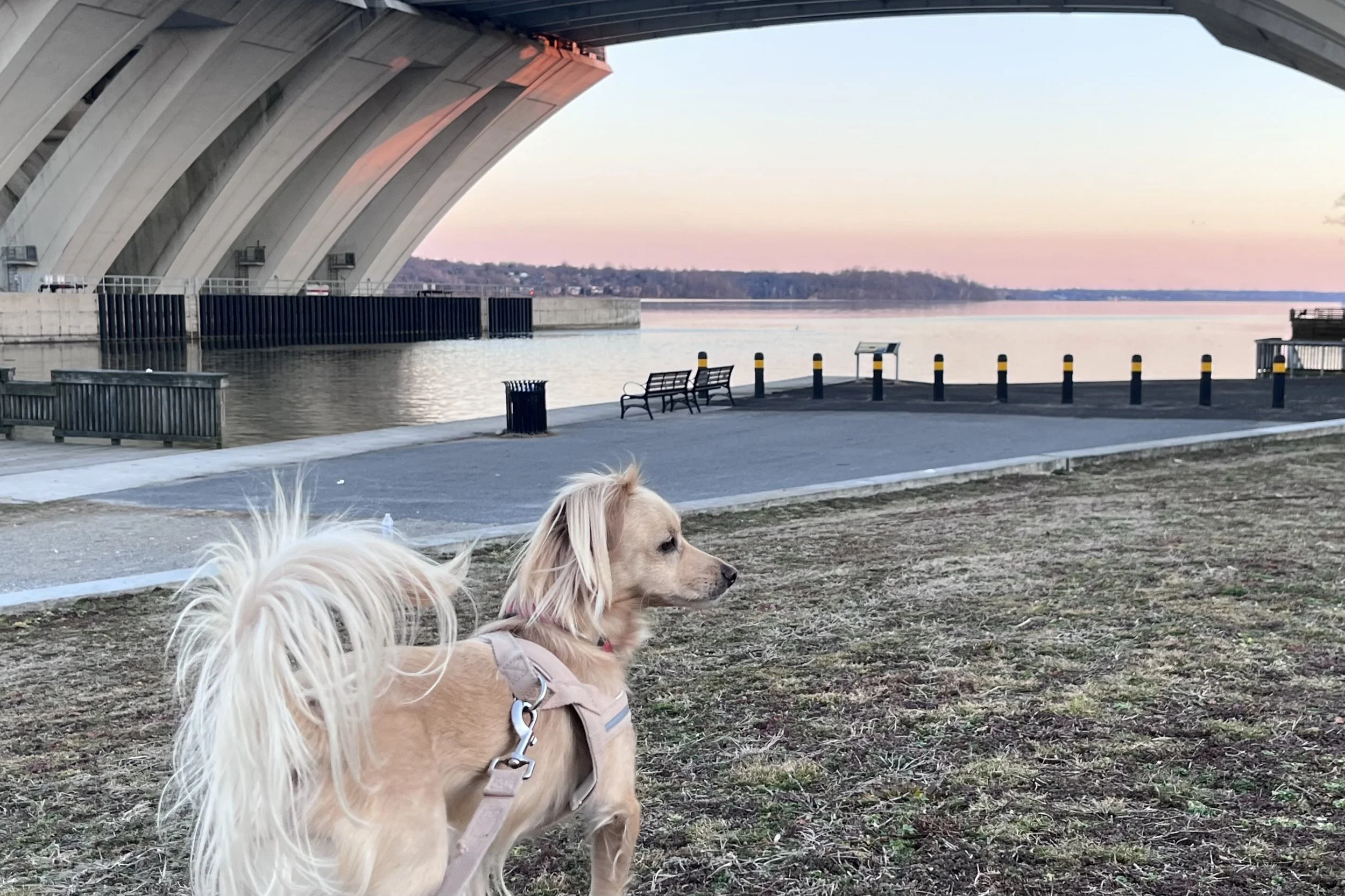 Open riverfront at Jones Point Park with wide space, natural surroundings, and minimal crowds