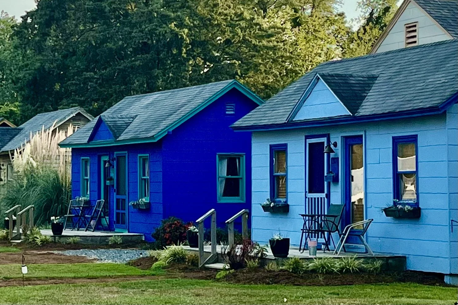 Small restored cottage in a wooded area near Cape Charles, Virginia, part of a quiet tiny house community.