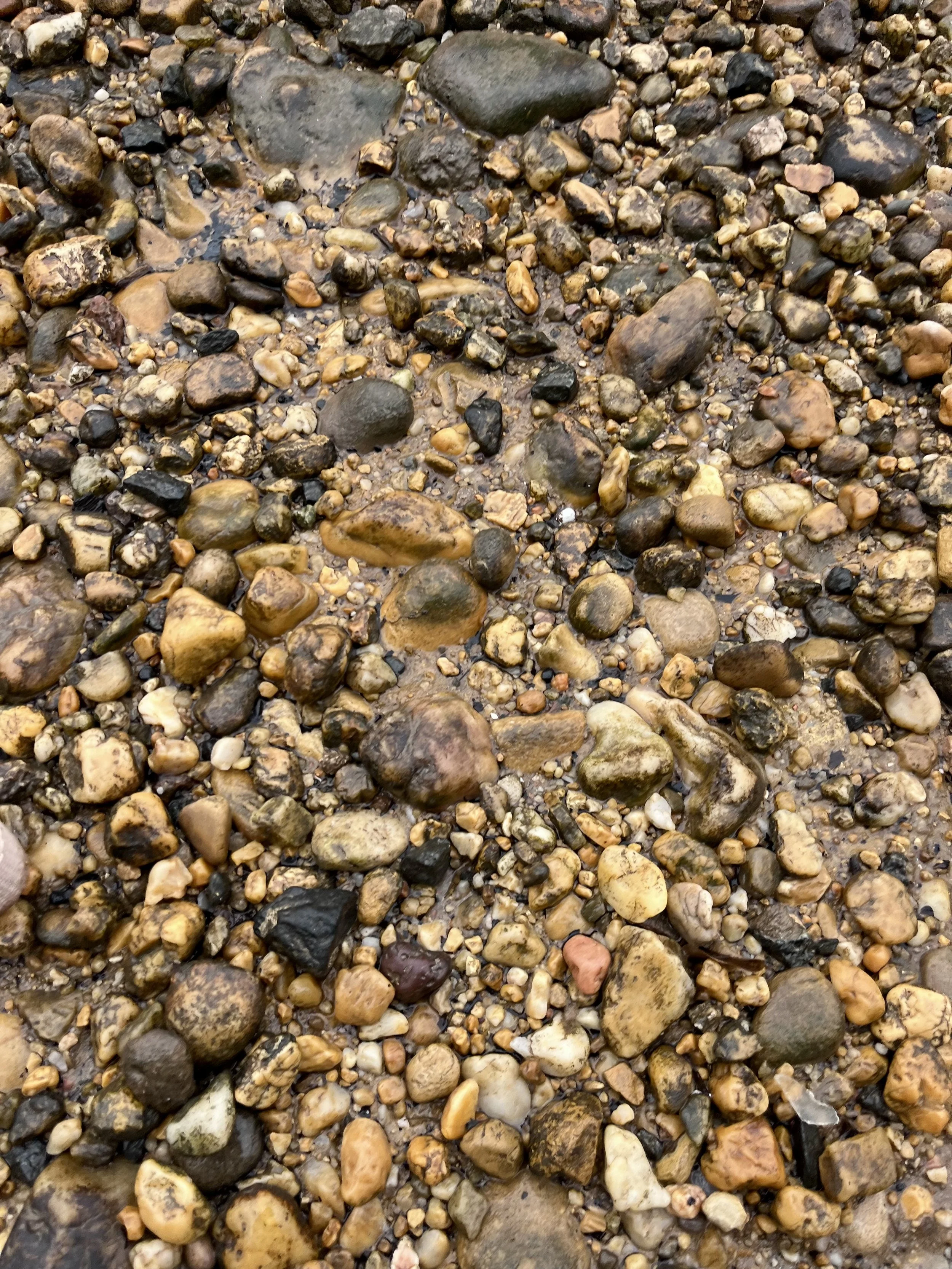 Close-up of wet, rounded river stones and pebbles along the Potomac River shoreline near Jones Point Lighthouse.