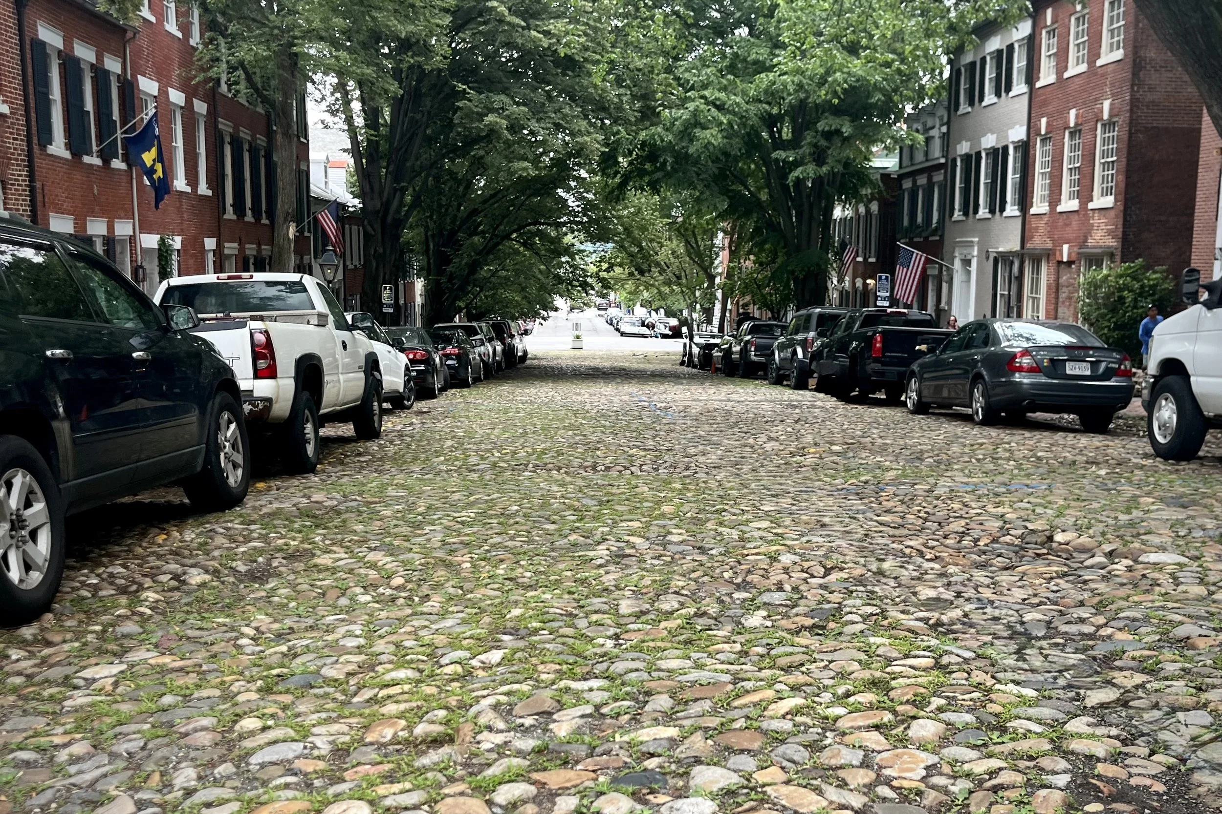 Cobblestone Prince Street in Old Town Alexandria lined with historic brick row houses, mature trees, and original cobblestones.