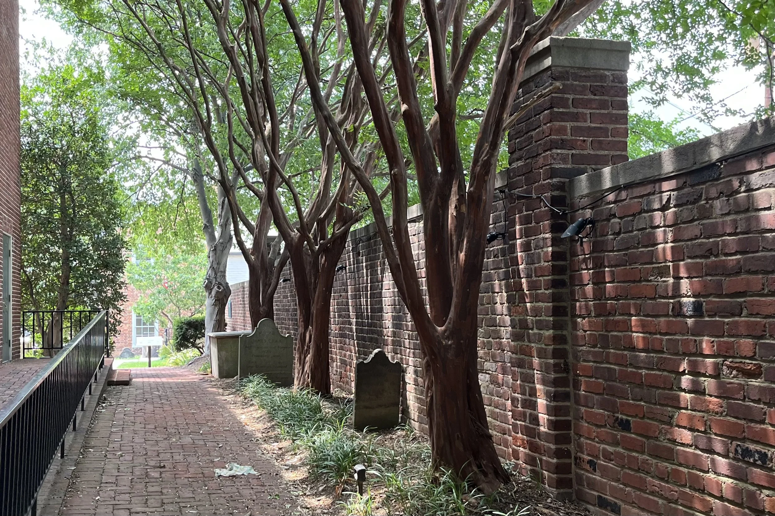 Shaded brick walkway lined with crepe myrtle trees, historic brick walls, and old gravestones at Old Presbyterian Meeting House in Old Town Alexandria.