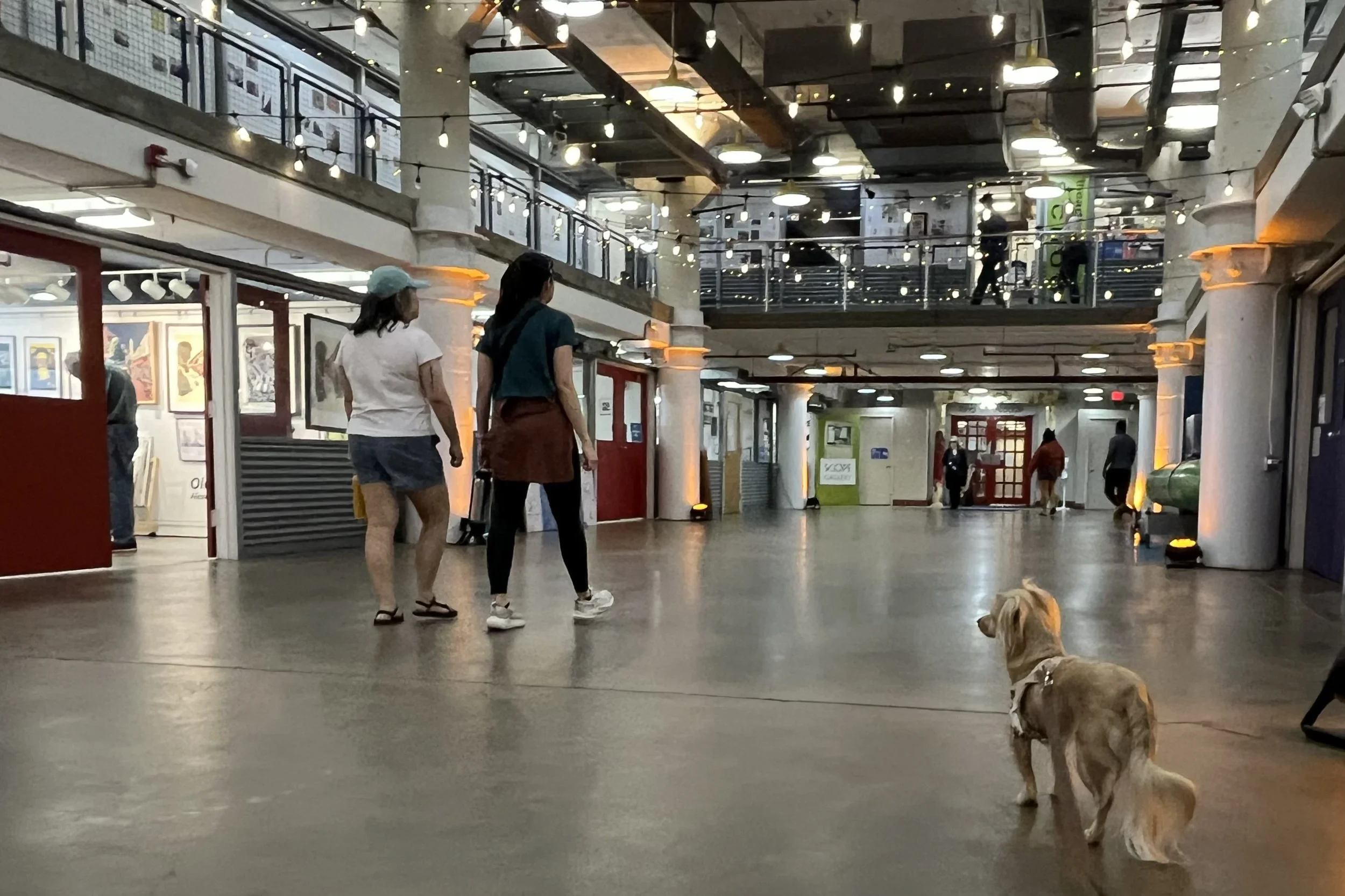 Dogs exploring the interior of the Torpedo Factory Art Center in Old Town Alexandria.