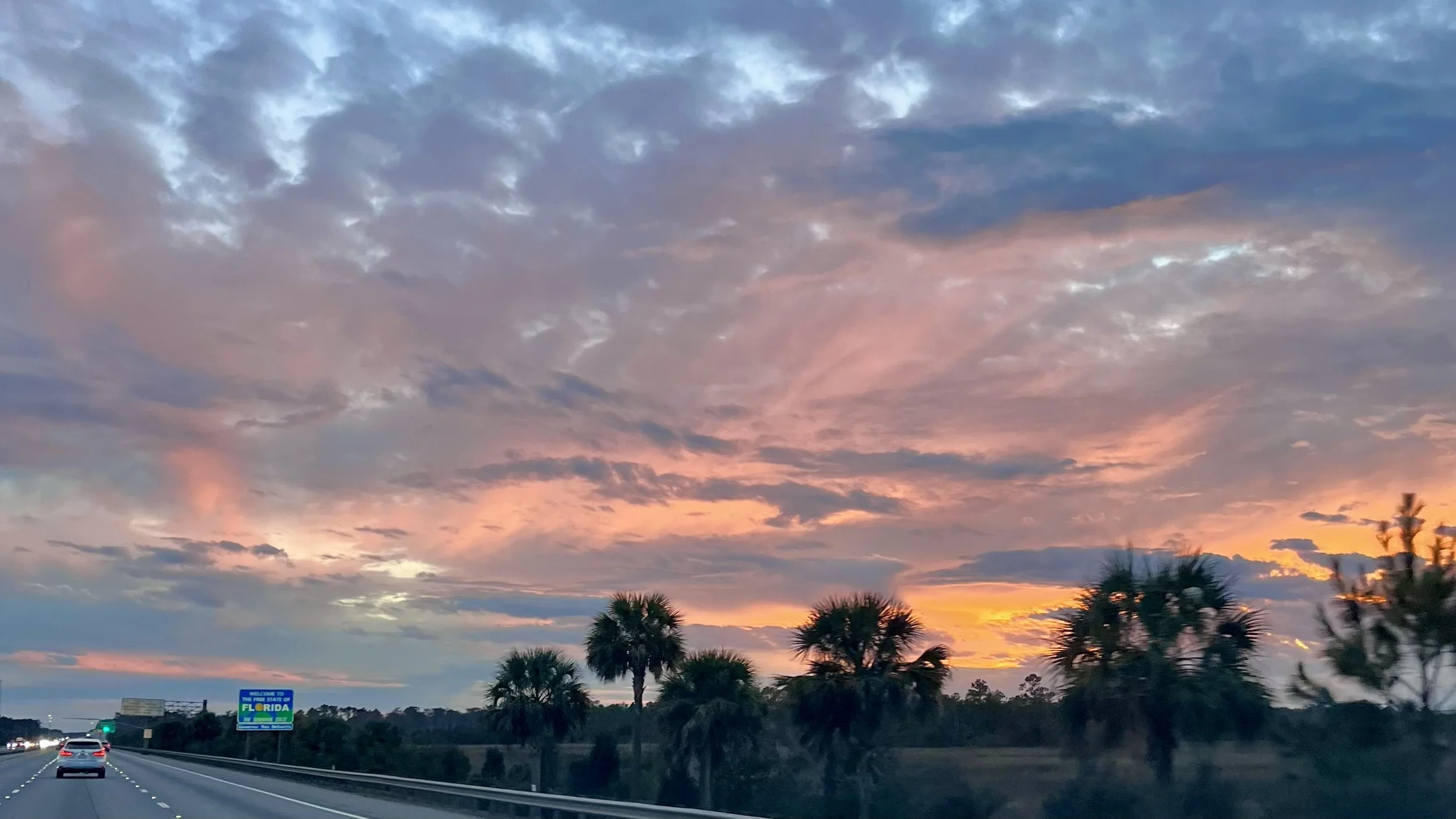 Driving into Florida at sunset with palm trees along the highway.