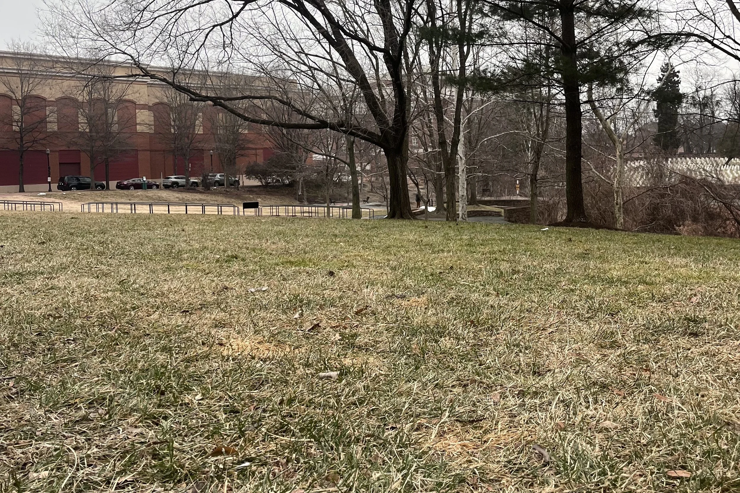 Open grassy edge bordered by trees and a quiet path, set back from a parking area, offering a calmer environment for a road trip potty break.