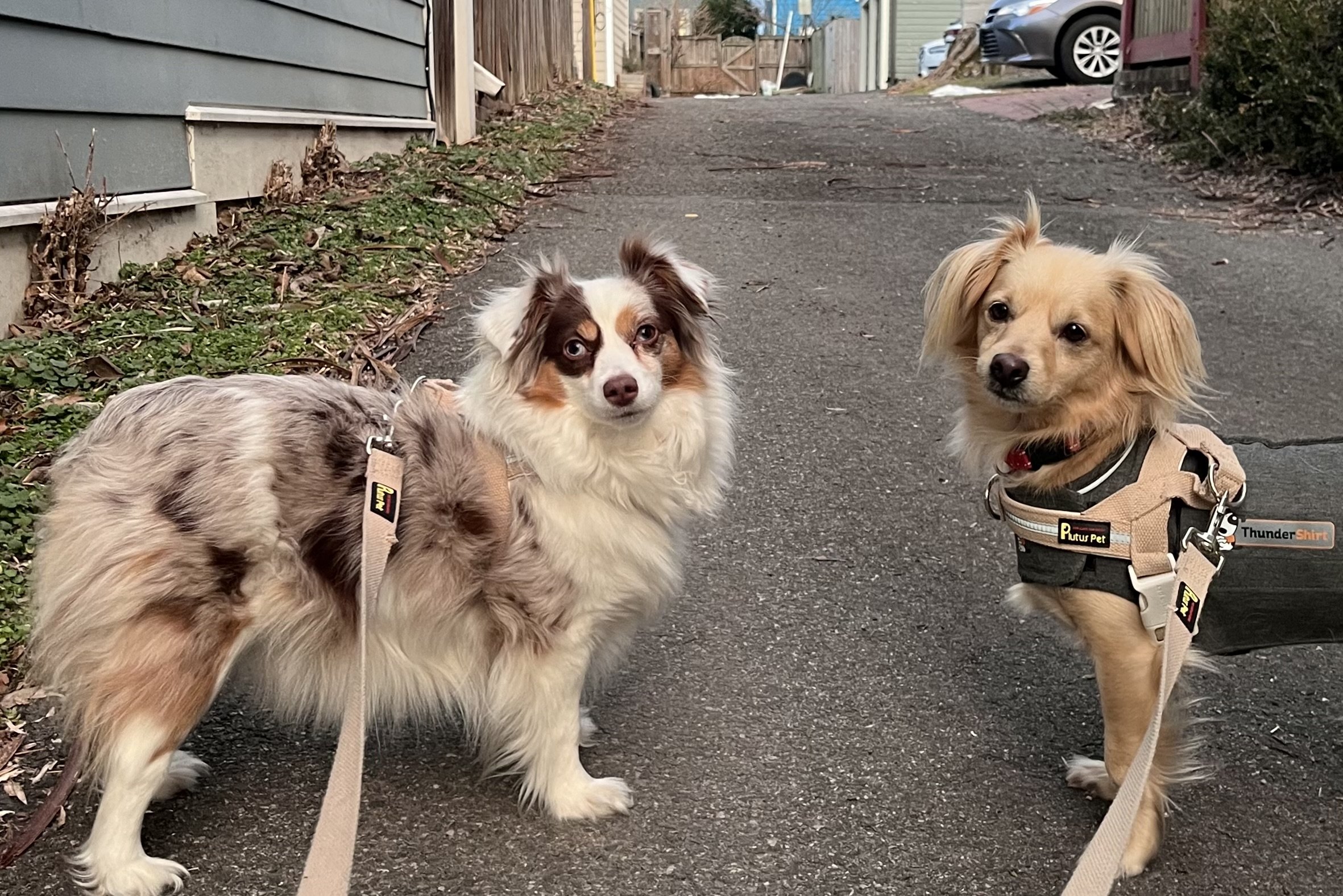 A quick reset in one of Old Town’s alleys — quieter footing, fewer moving pieces, and space to decide what comes next.
