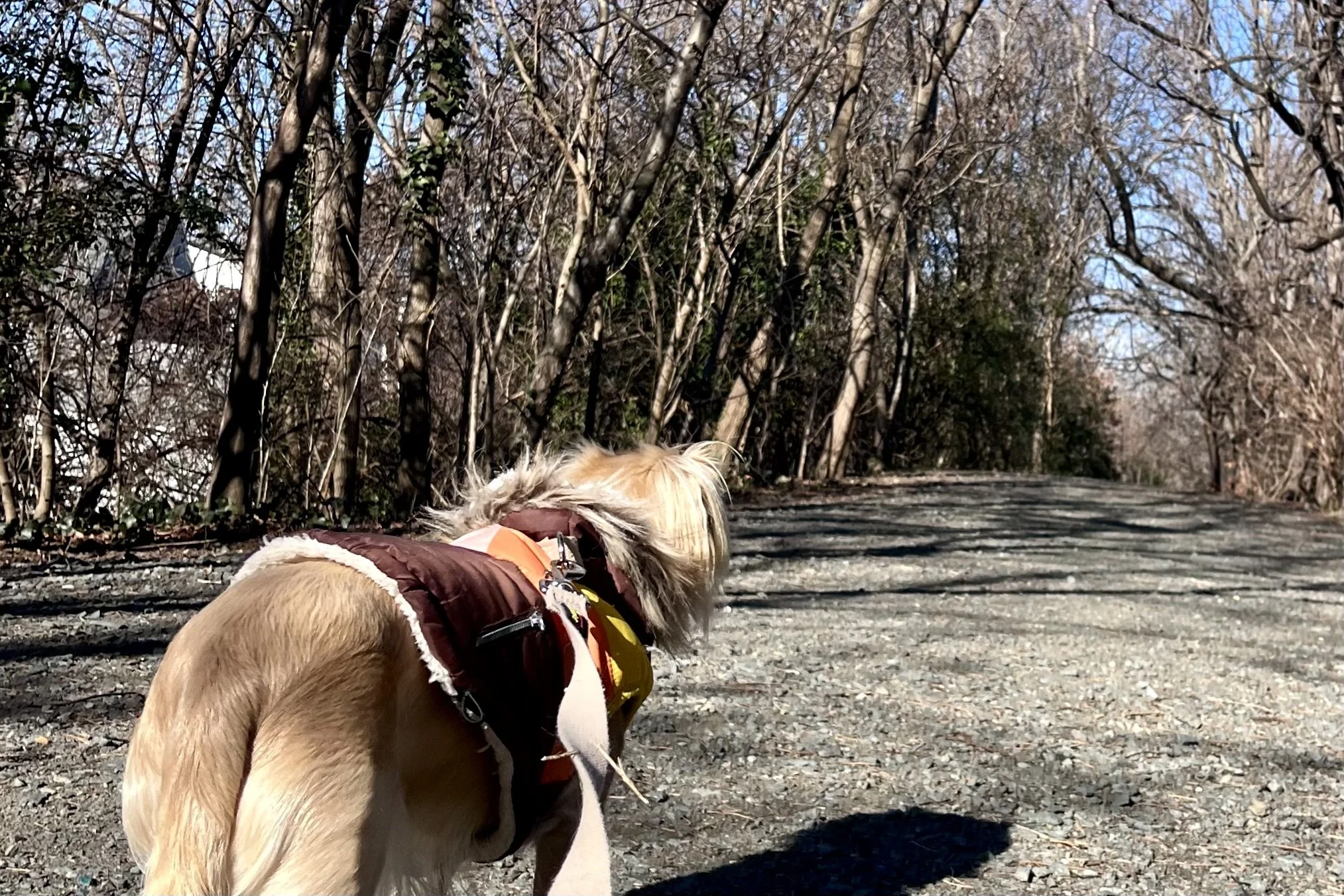 Wide, quiet paved path between Windmill Hill Park and Jones Point with minimal foot traffic