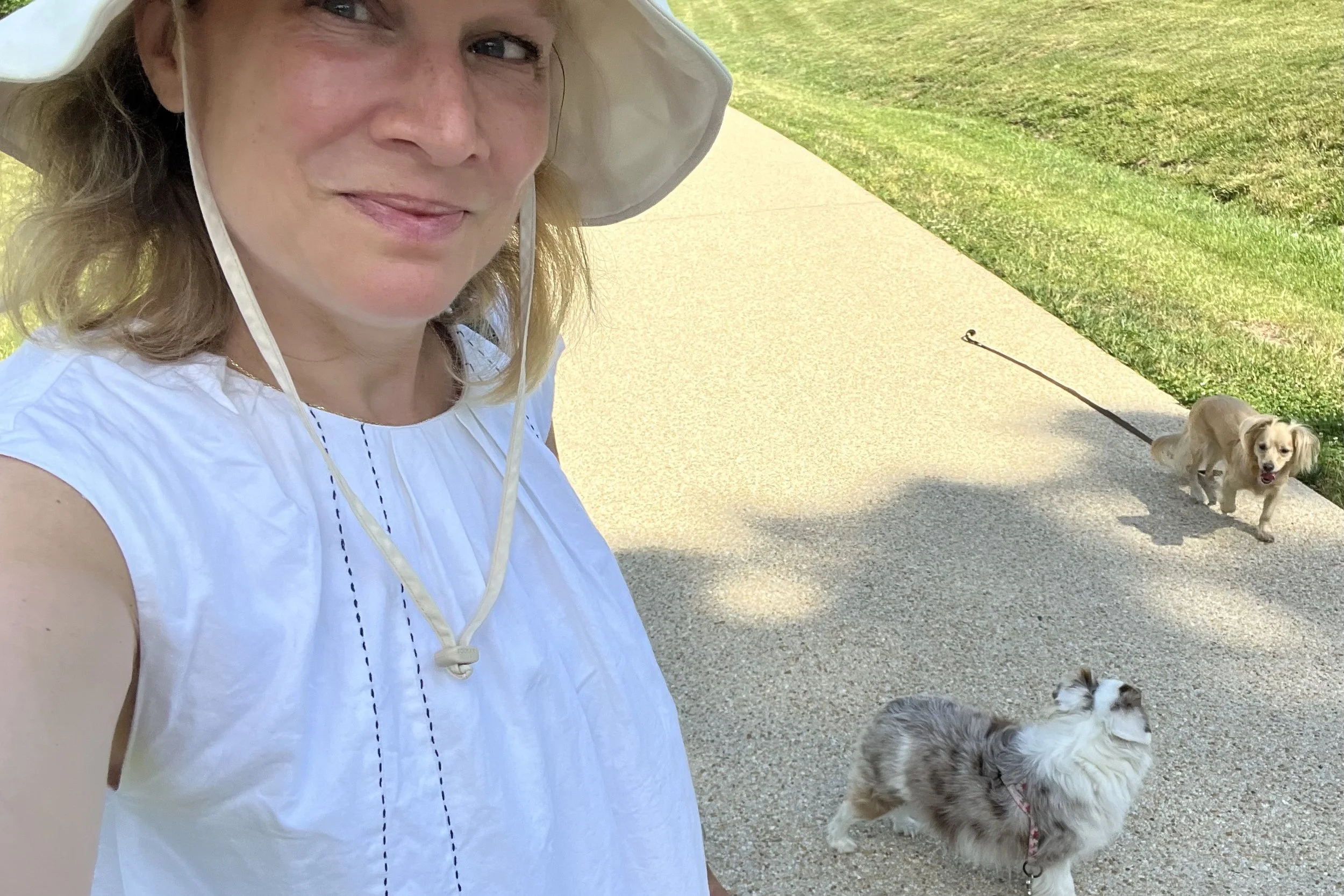 Woman wearing a wide-brim sun hat while walking two small dogs on a sunny paved path.