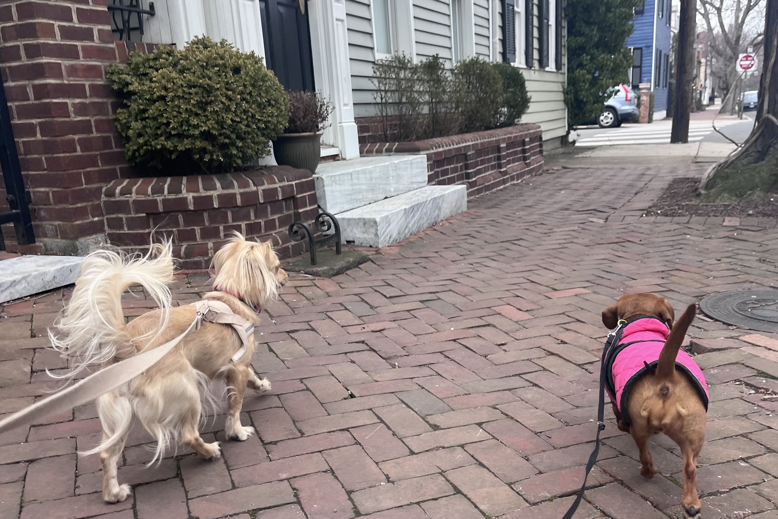 Tighter sidewalks mean less room to adjust as movement builds around you.