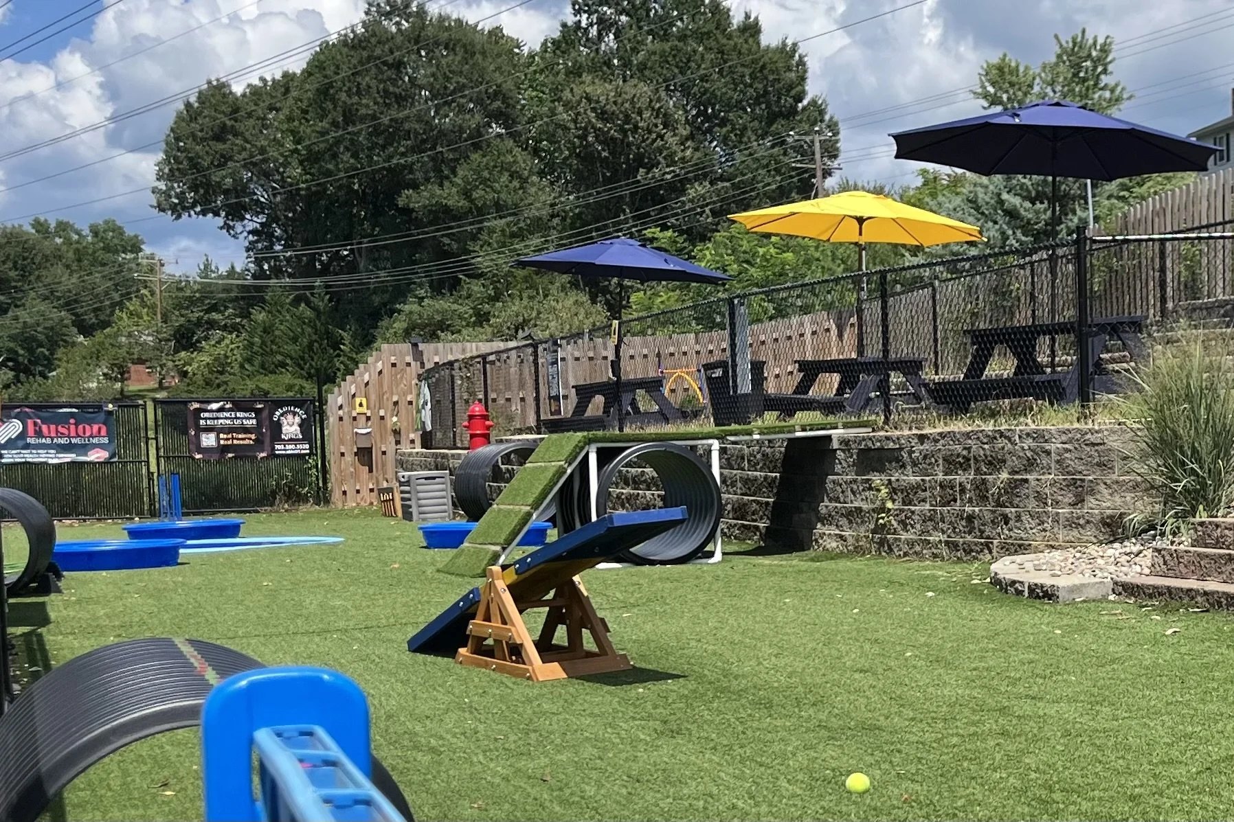 Fenced off-leash dog park with artificial turf and agility equipment at The Barking Barley in Fredericksburg.