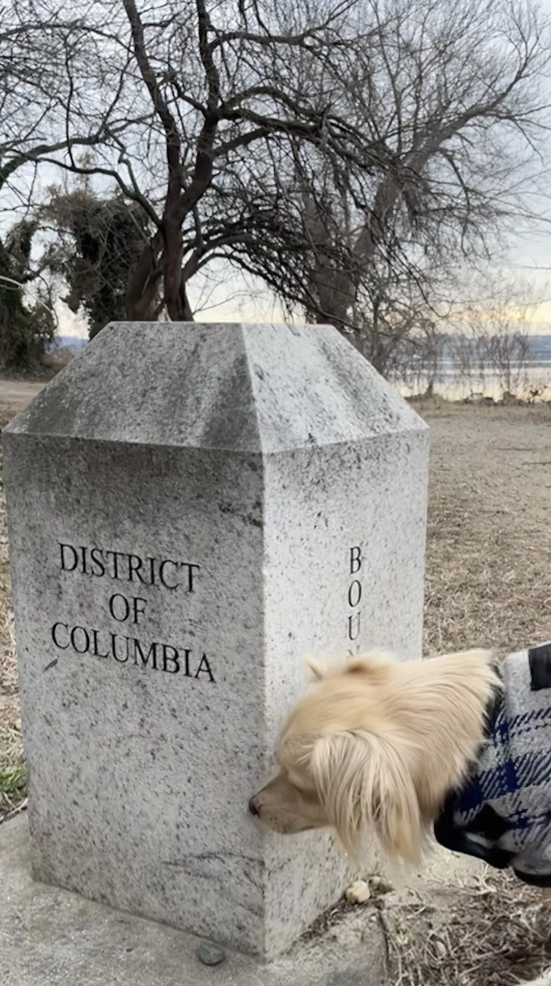 A leashed dog sniffing a stone boundary marker engraved “District of Columbia” at Jones Point near the Potomac River.