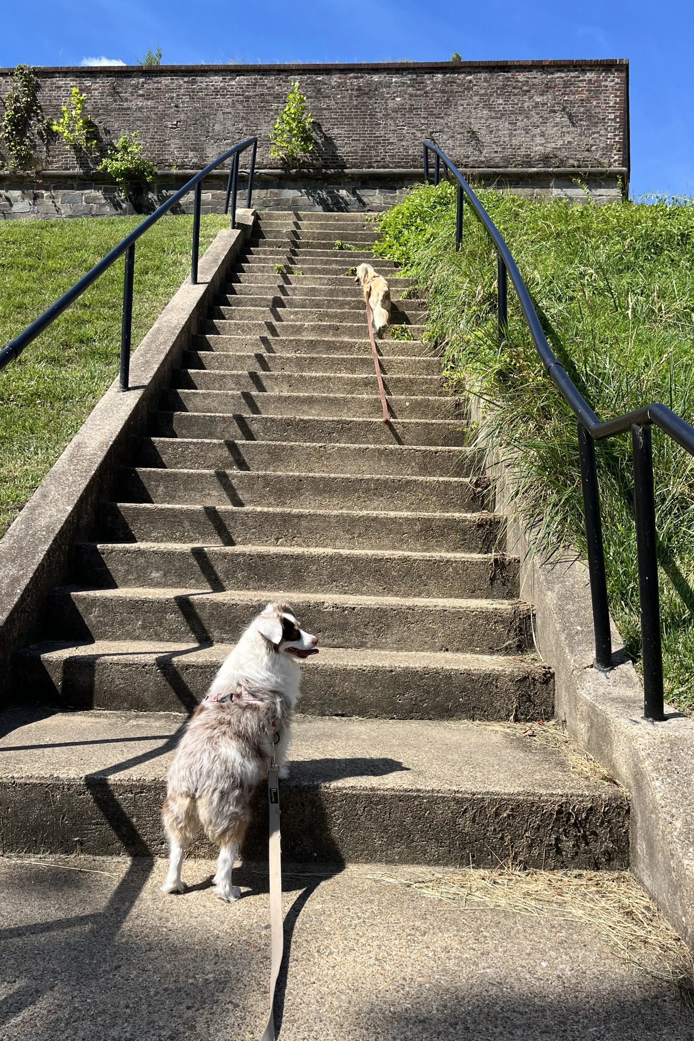 Archie climbs a long stone staircase at Fort Washington while Saydie pauses below, with the fort wall visible at the top.
