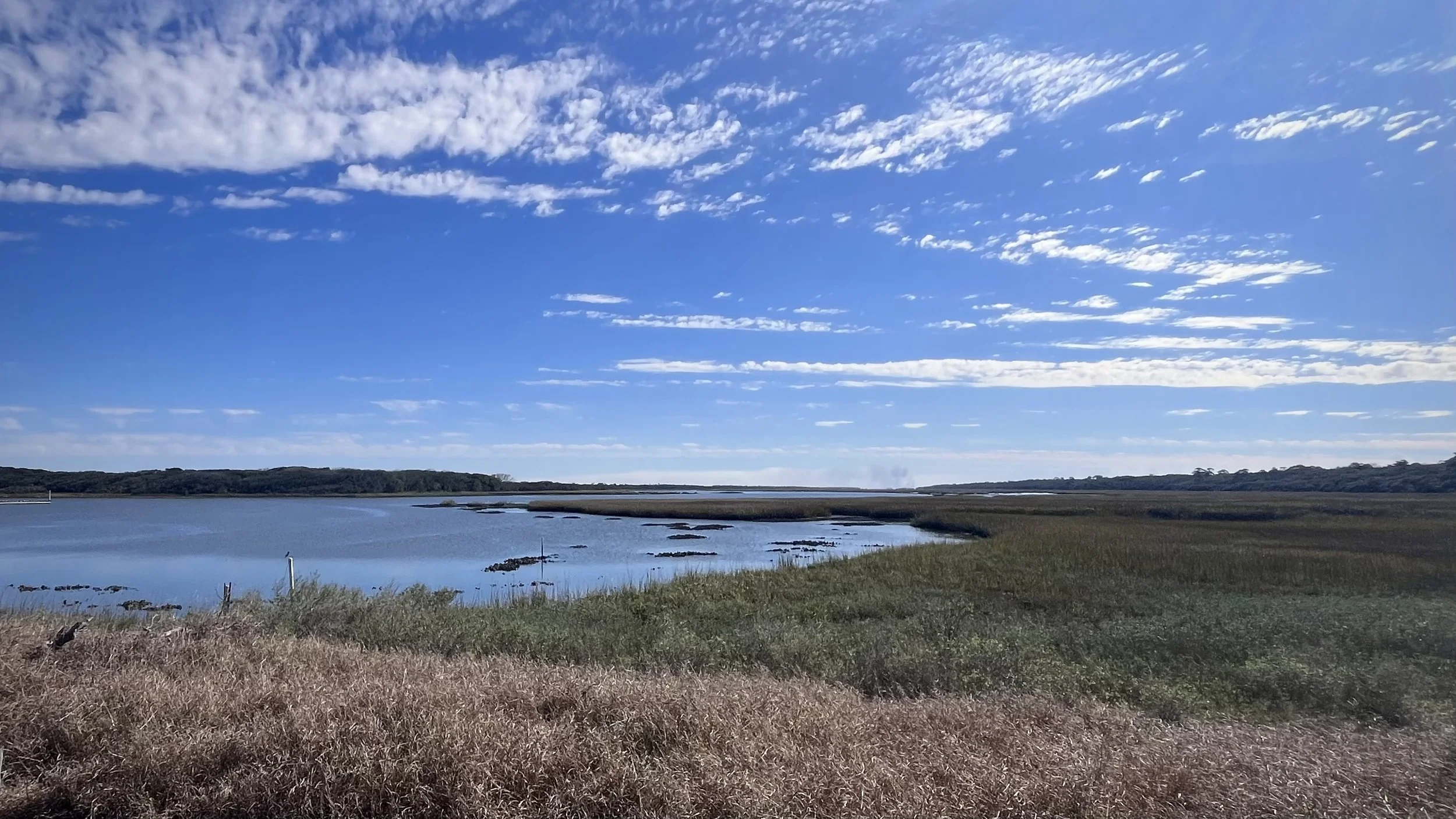 Wide view of a coastal marsh with water channels, tall grasses, and a bright blue sky with scattered clouds.