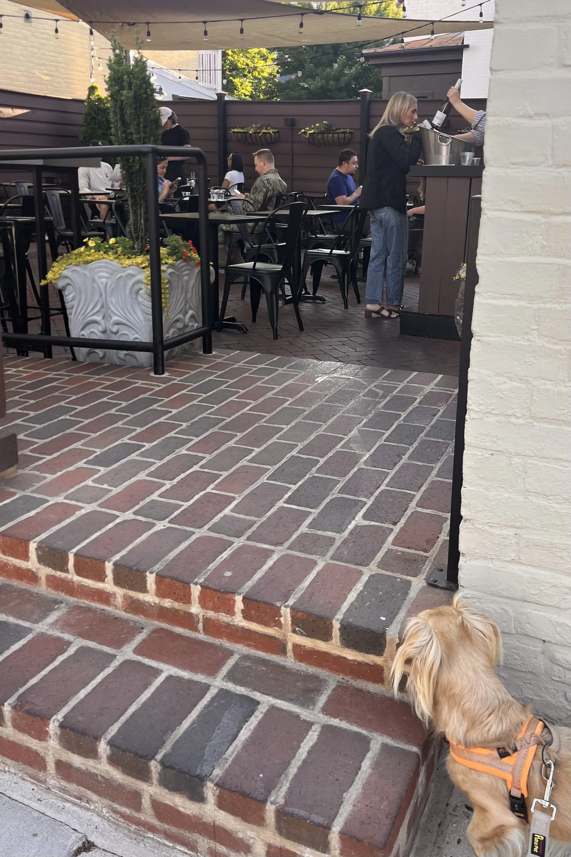 Outdoor patio seating at La Pluma in Old Town Alexandria with brick flooring, string lights, and a quieter courtyard atmosphere.
