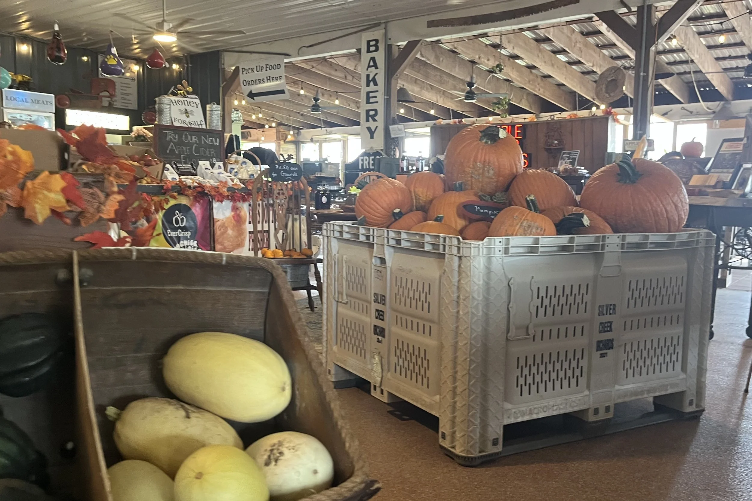 Pumpkins and squash displayed inside the farm store at Mackintosh Fruit Farm in Berryville, Virginia.