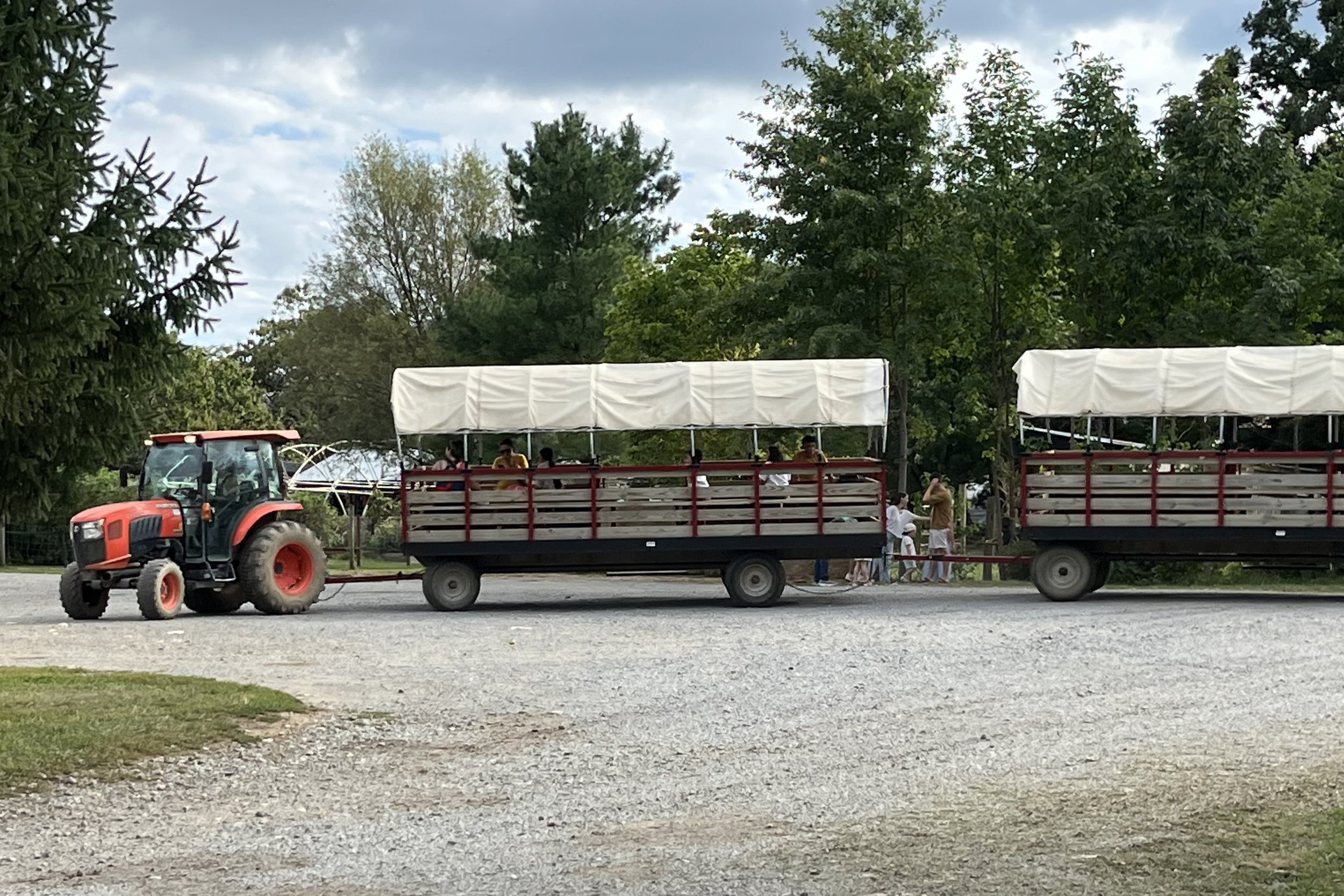Tractor pulling passenger wagons at Great Country Farms in Bluemont, Virginia.