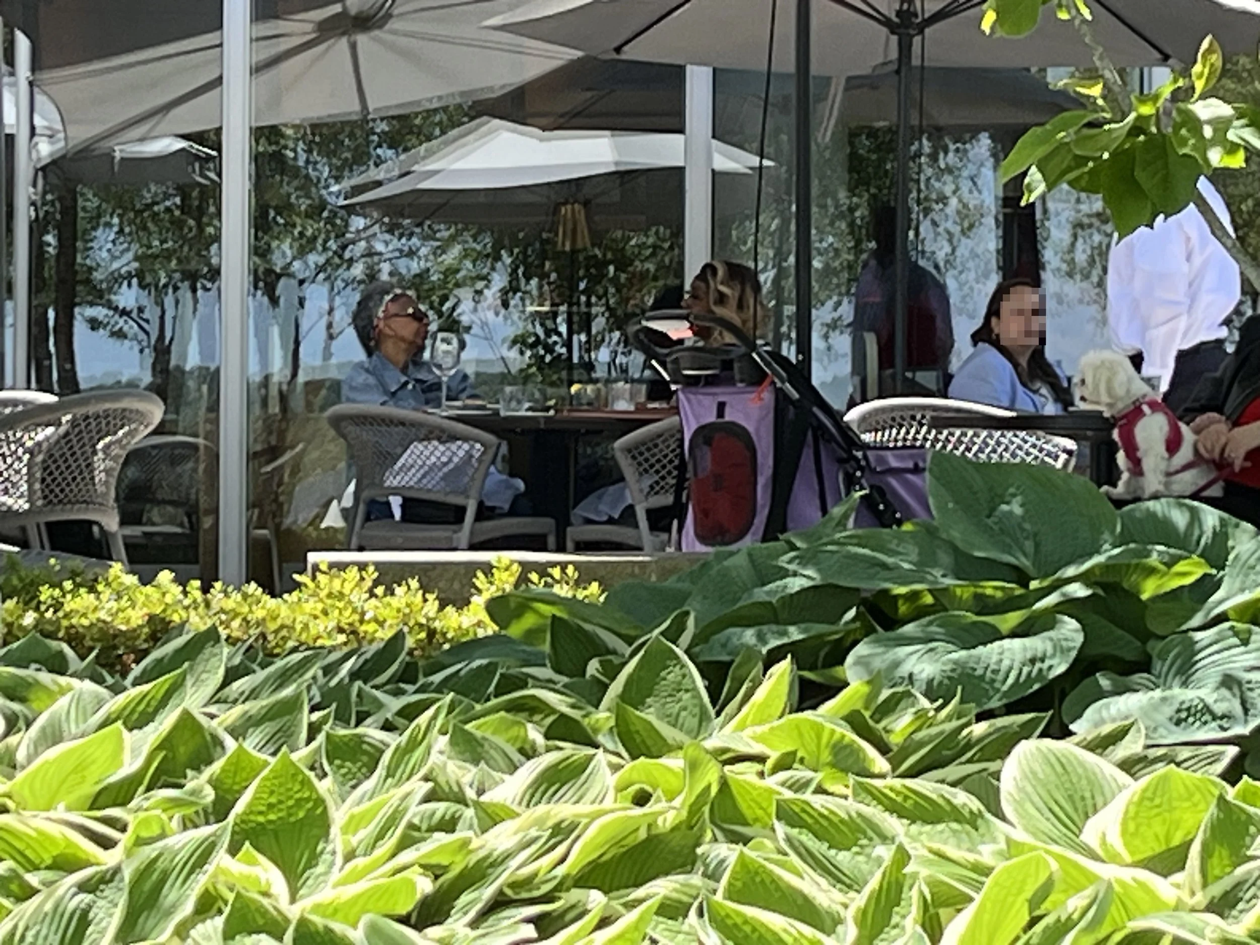 Outdoor patio with greenery and waterfront seating at Ada’s on the River in Old Town Alexandria.