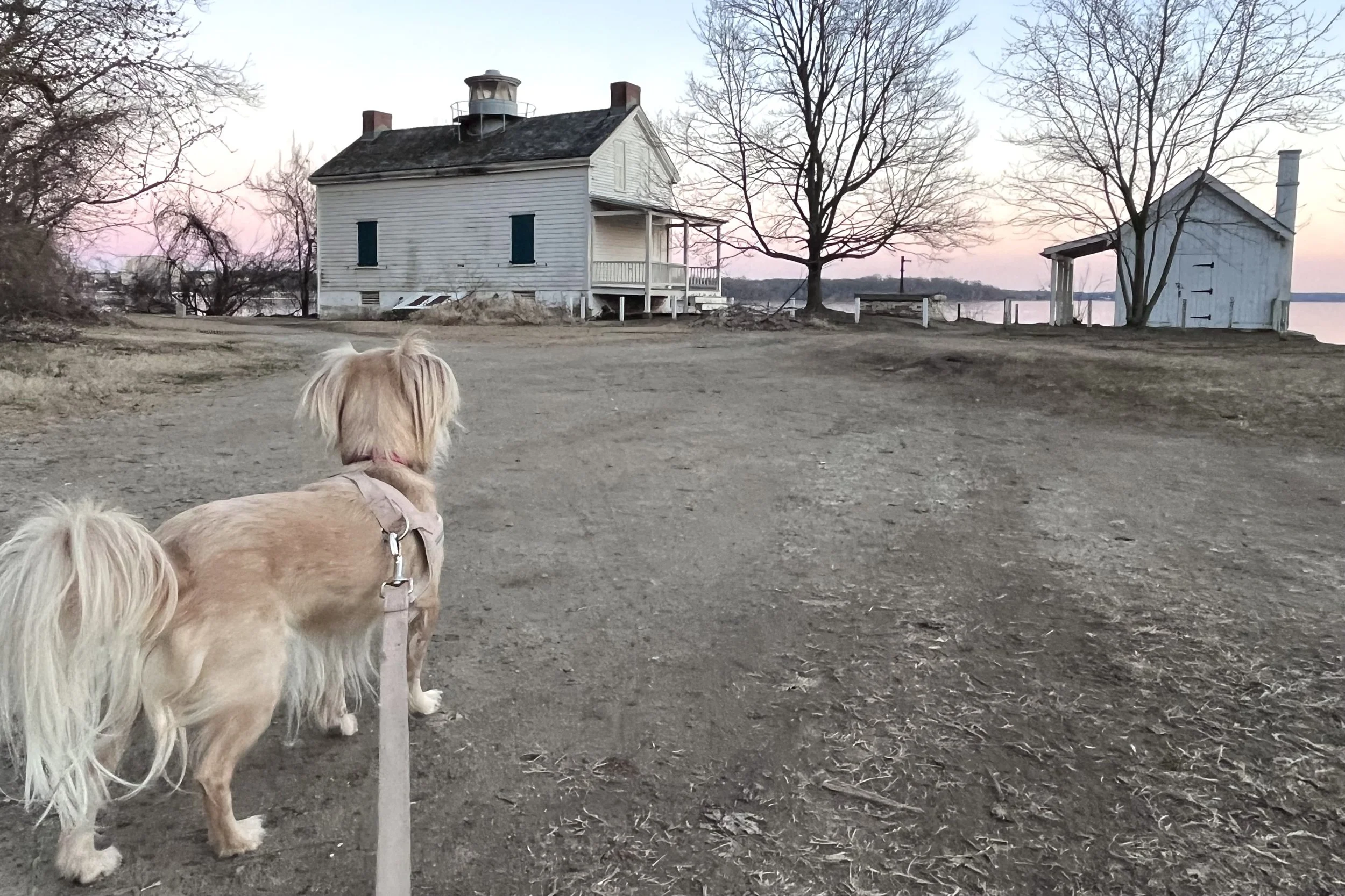 Open waterfront path along the Potomac River in Old Town Alexandria with space for dogs to walk comfortably.