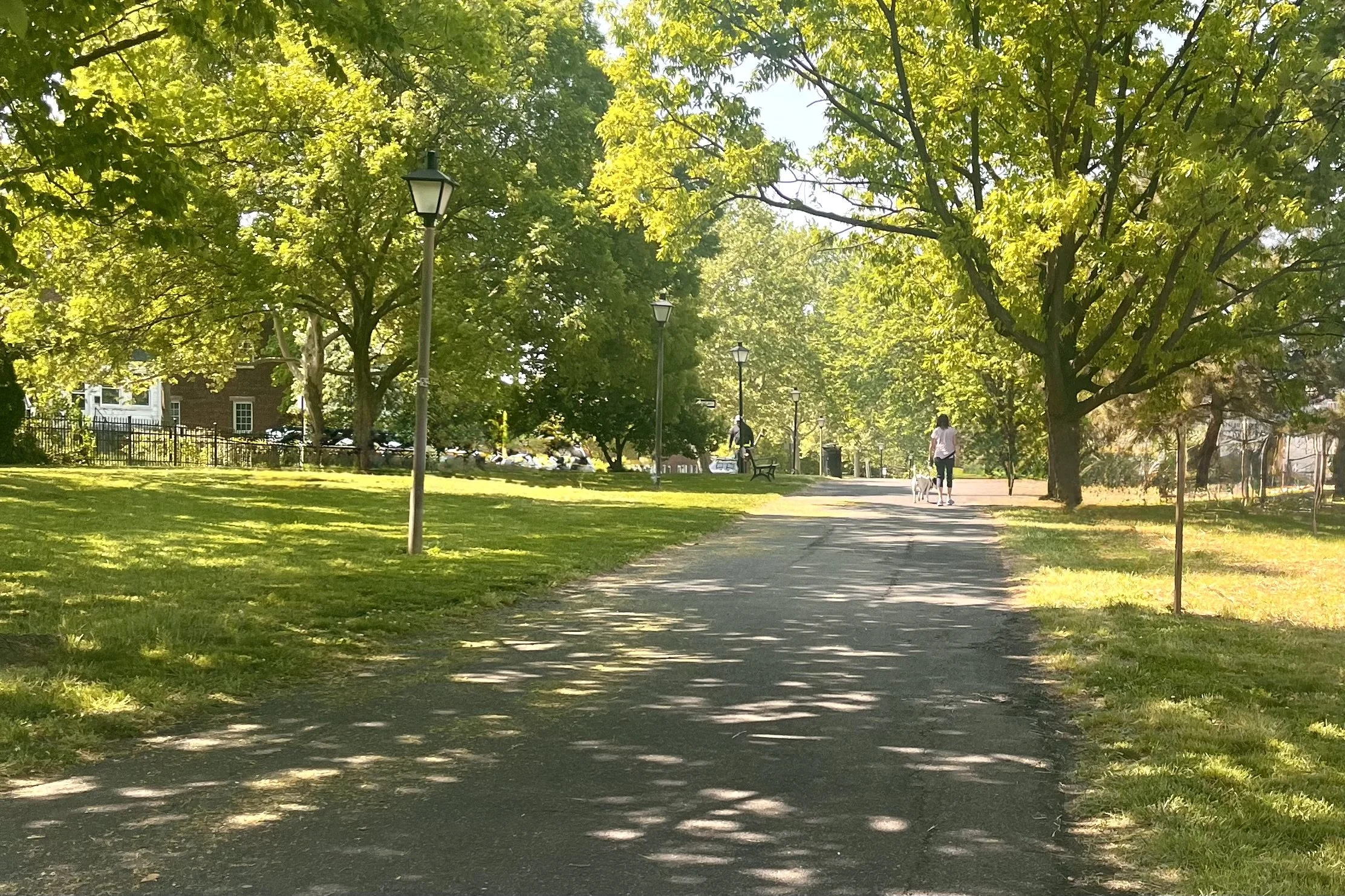 Tree-lined paved path near Founders Park with dappled sunlight and open space for walking dogs