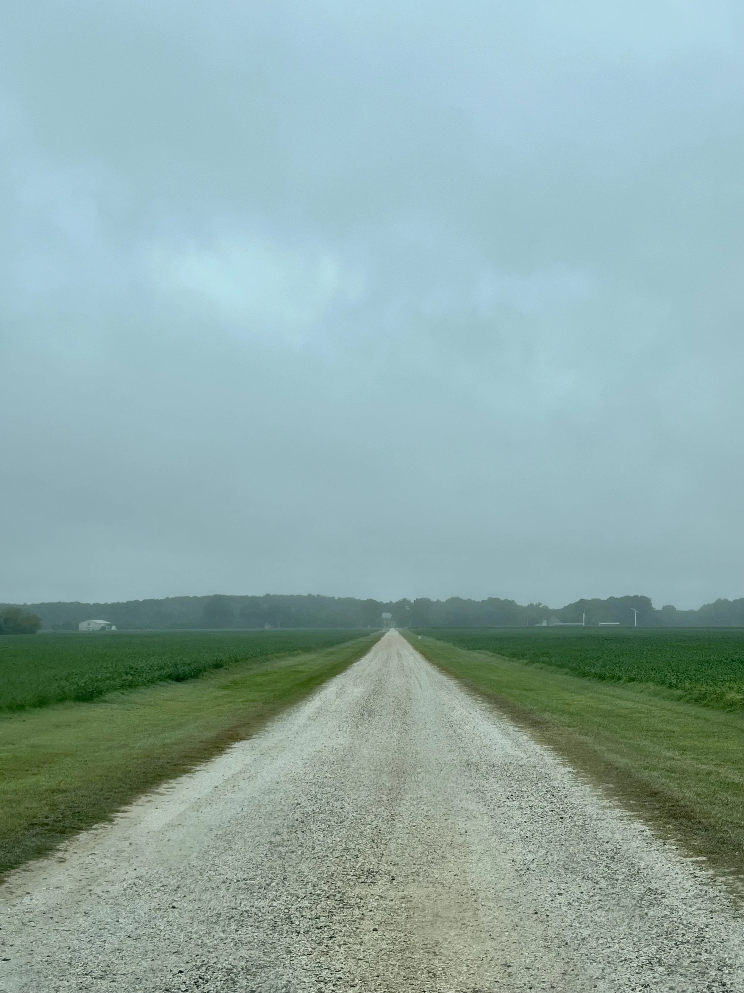 Long straight gravel road stretching through flat green farmland under an overcast sky.