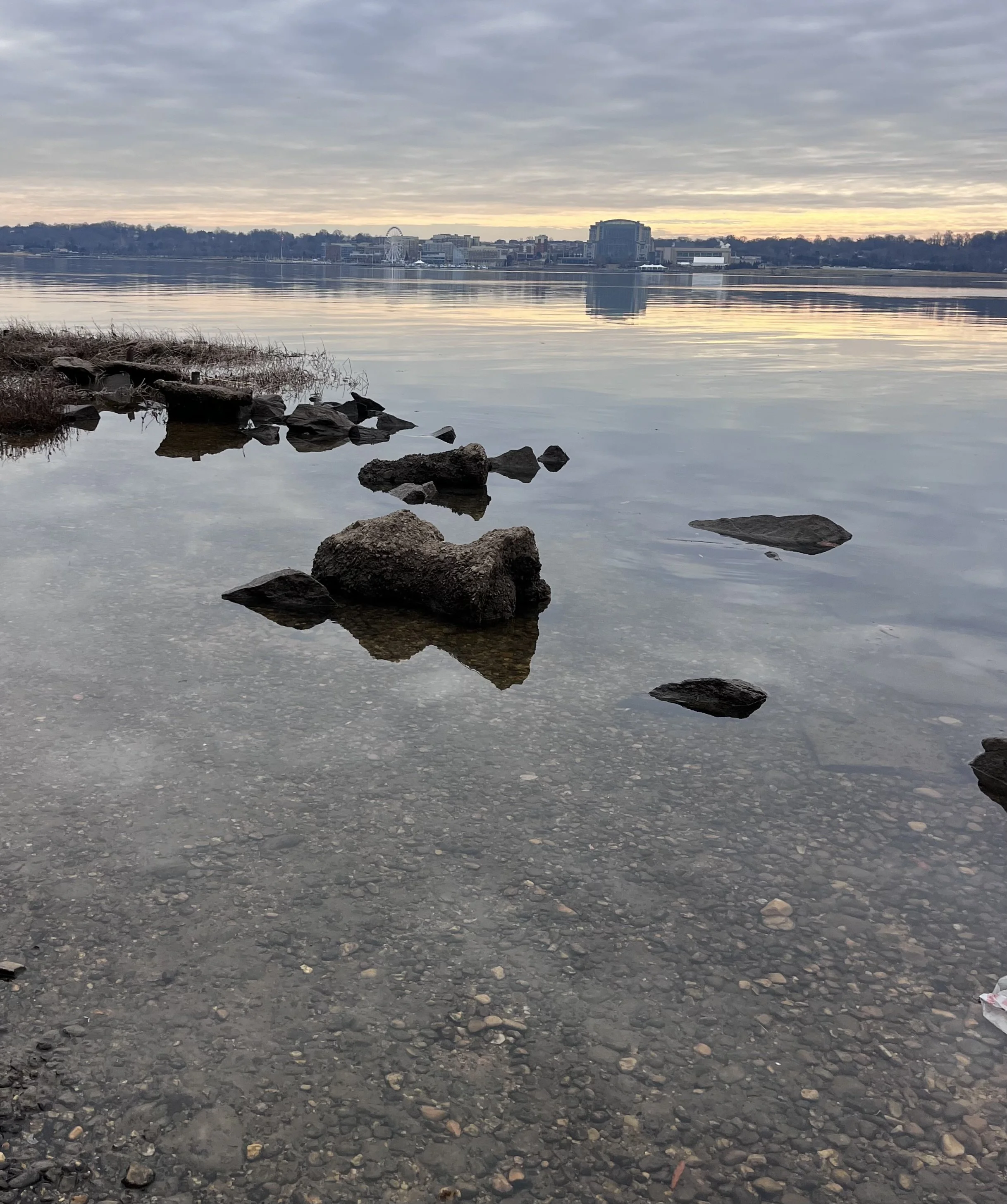 Rocks visible beneath clear water along the Potomac River near Old Town Alexandria.