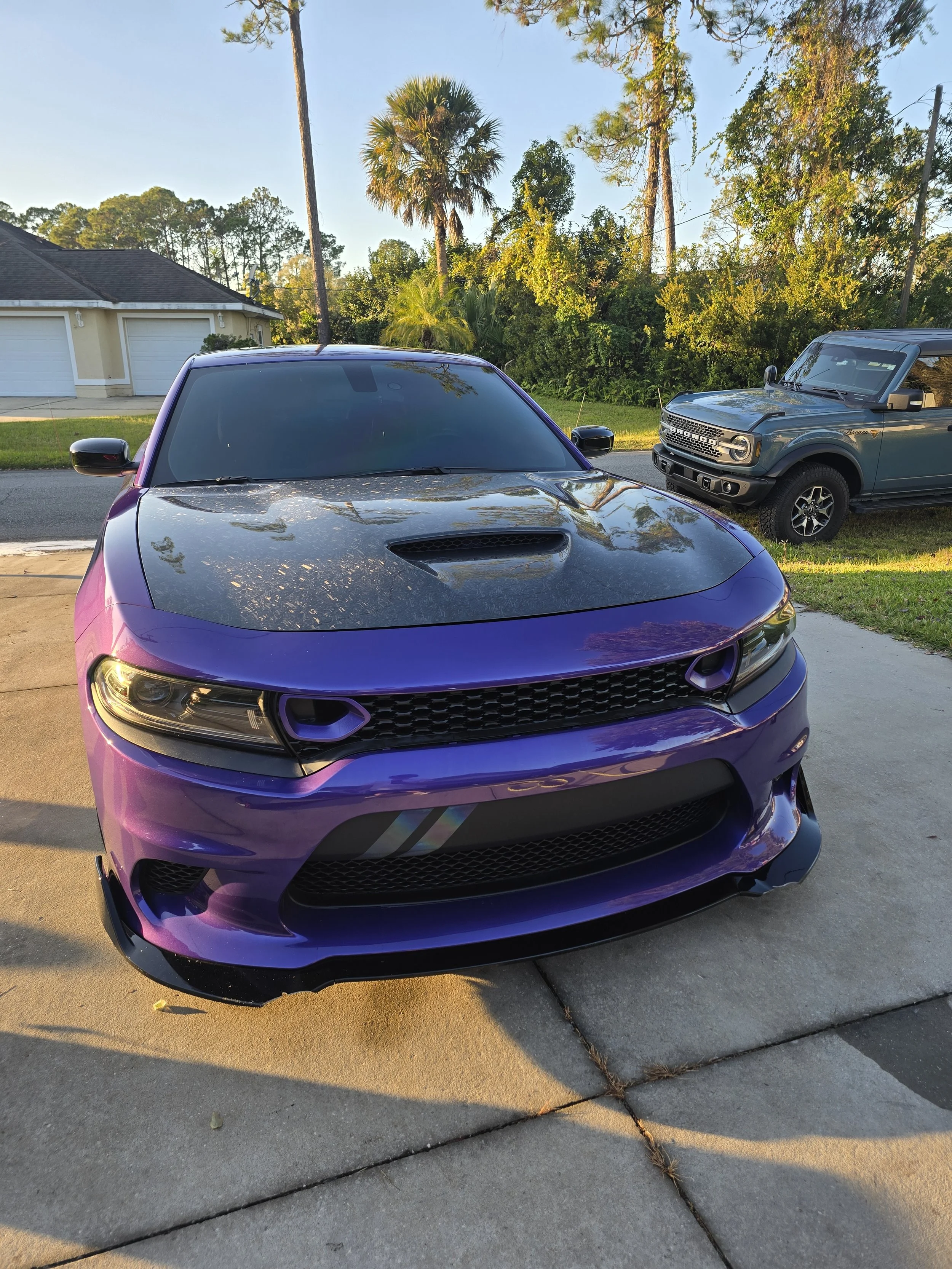 Purple sports car exterior detail by R.K. Mobile Detailing at a Palm Coast, FL home