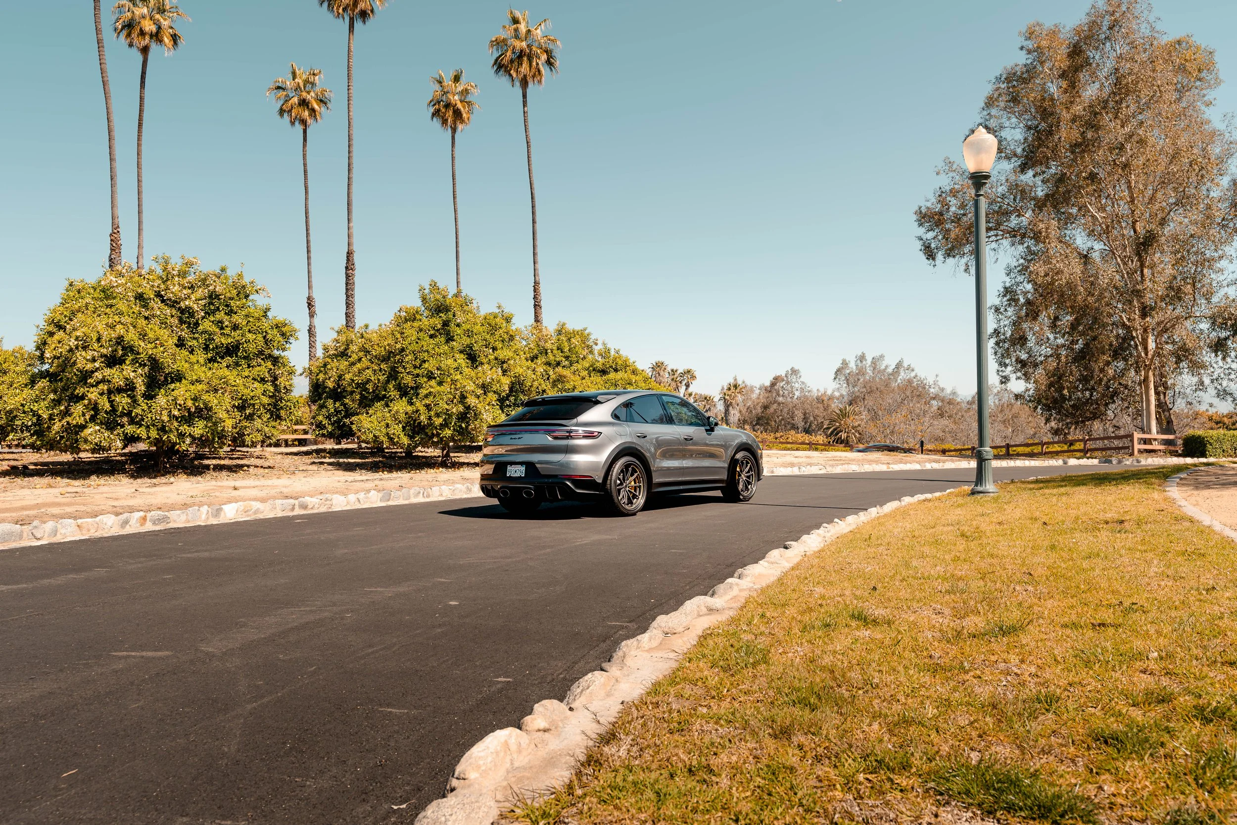 A gray luxury SUV driving on a paved road in a park with tall palm trees, green bushes, a grass patch, and a vintage-style street lamp under a clear blue sky.