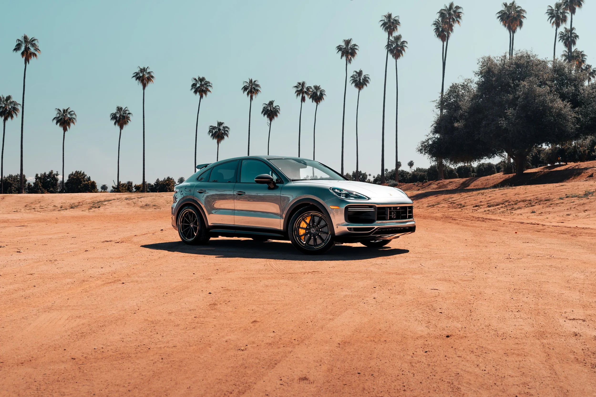 A silver SUV parked on a dirt area in a desert-like setting with tall palm trees and a large tree in the background.